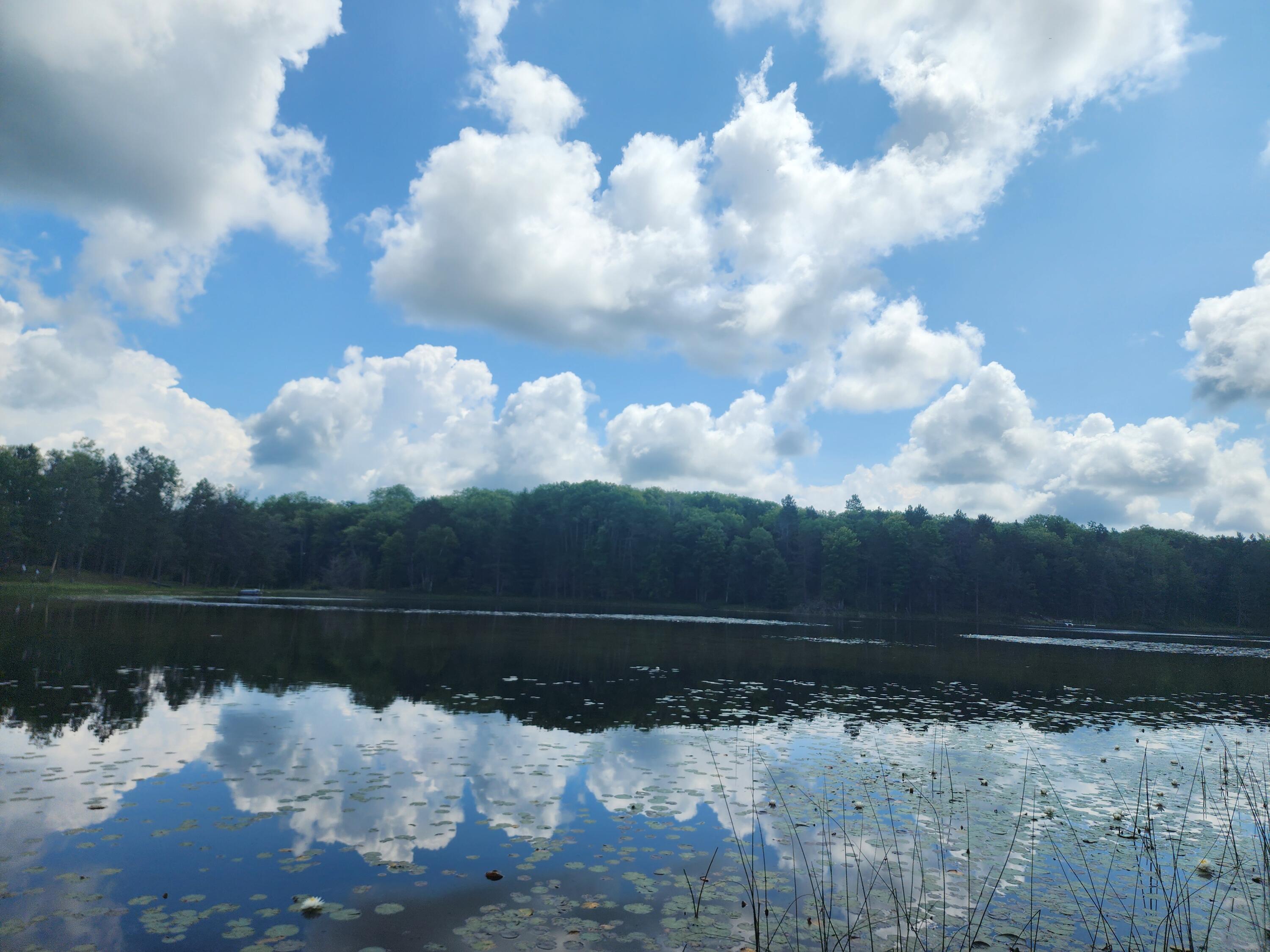 3150 Saddleback Lake Road