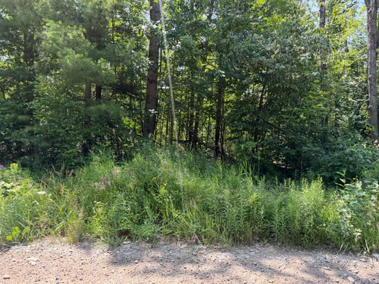 7881 MERIDIAN LINE RD, JOHANNESBURG, MI 49751 - Image 55c7b4e4f97805ddfcb6e4eda7a63c3c/1498647712