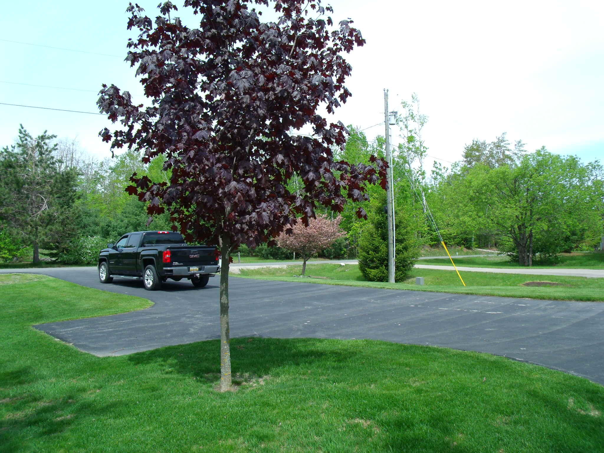 Wolverine, Michigan 49799, United States, 2 Bedrooms Bedrooms, ,2 BathroomsBathrooms,Residential,Active,219906