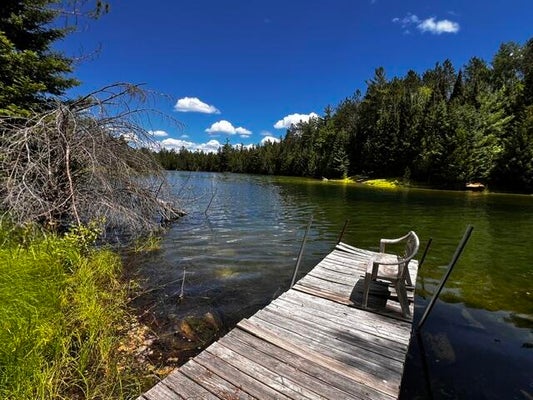 14709 SHORELINE DR, WOLVERINE, MI 49799 - Image 5f9da8b40cdc82b30fd122ee0099404a/3722778302