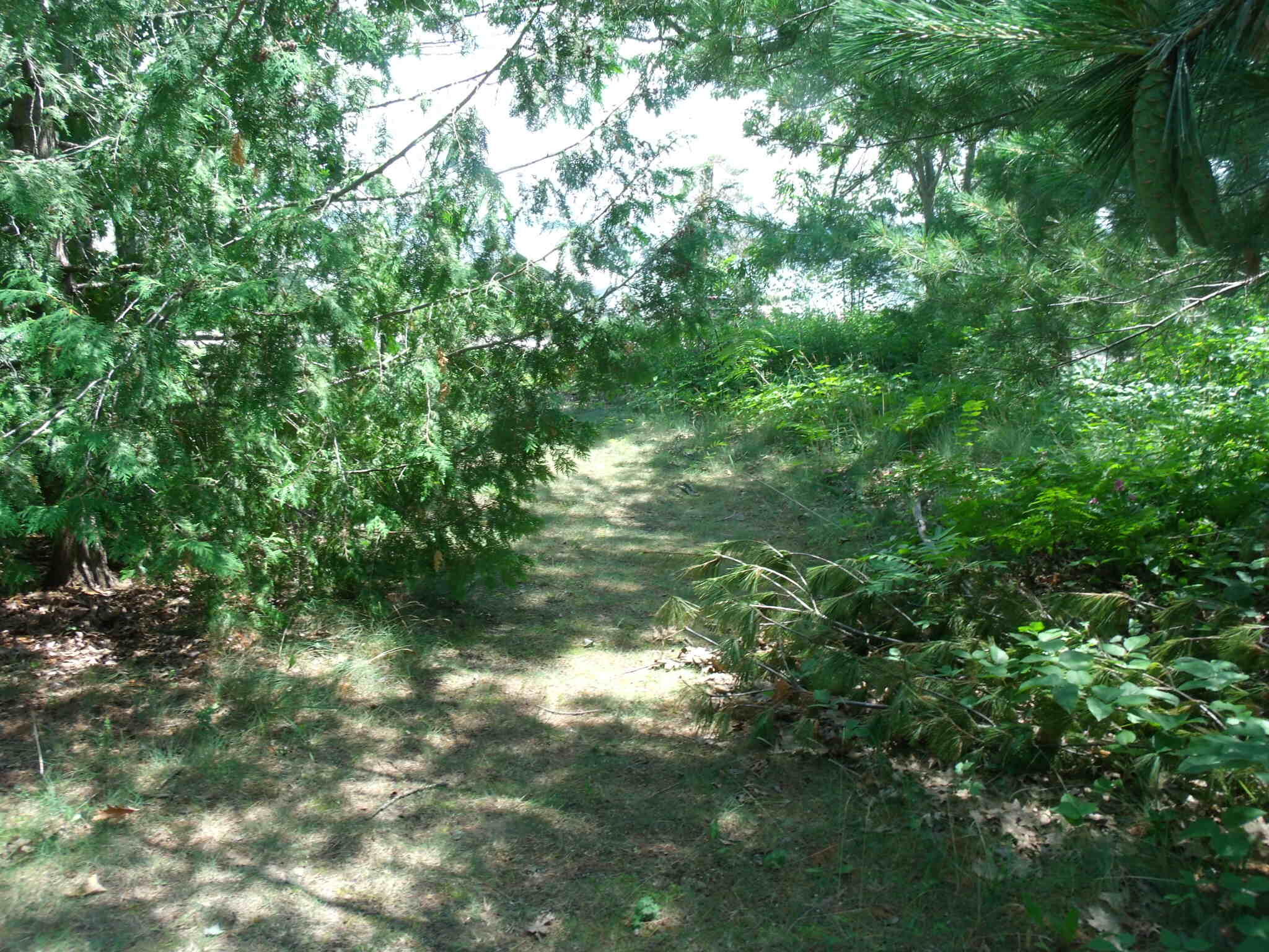 Topinabee, Michigan 49791, United States, ,Land,Active,181054