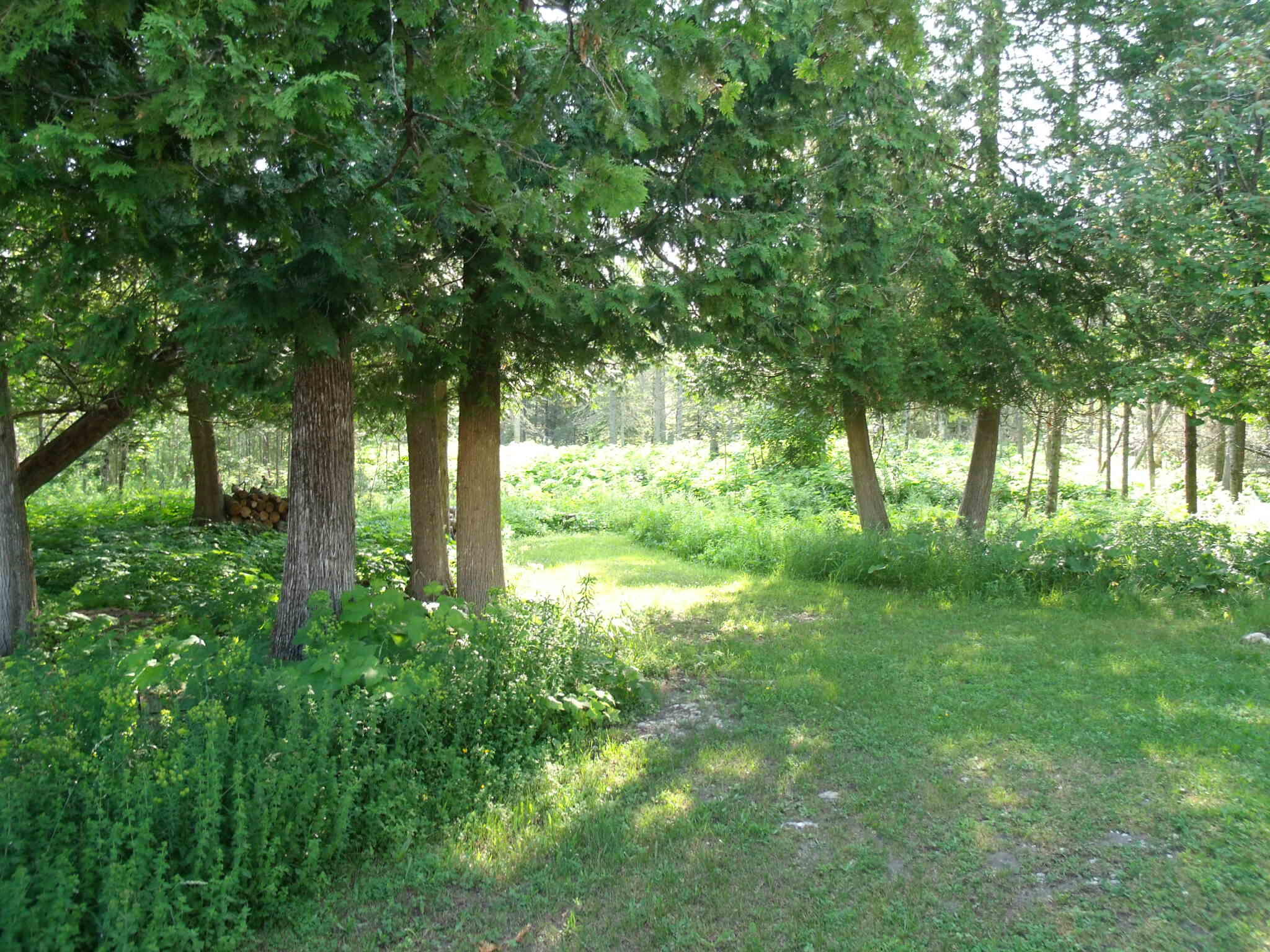 Hessel, Michigan 49745, United States, 2 Bedrooms Bedrooms, ,1 BathroomBathrooms,Residential,Active,169484