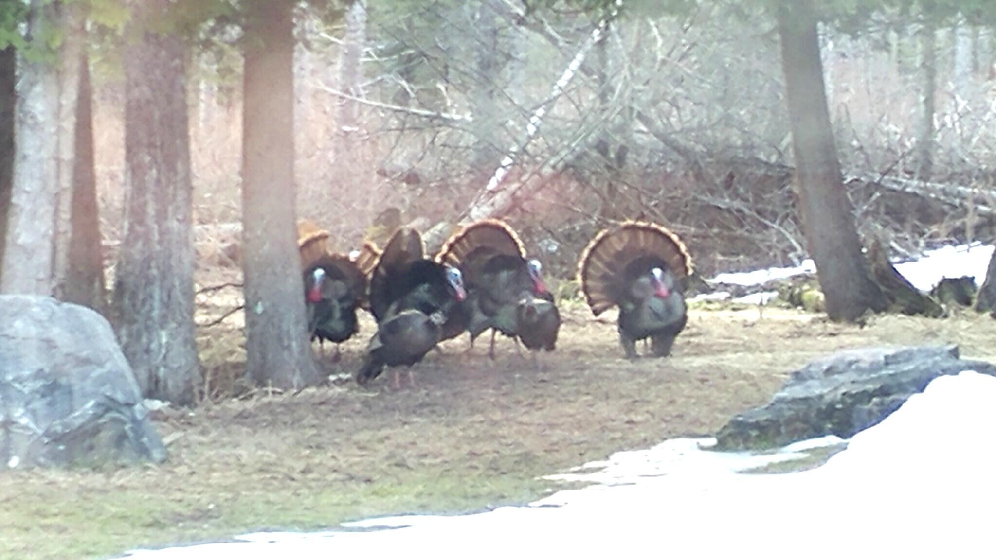 Hessel, Michigan 49745, United States, 2 Bedrooms Bedrooms, ,1 BathroomBathrooms,Residential,Active,169484