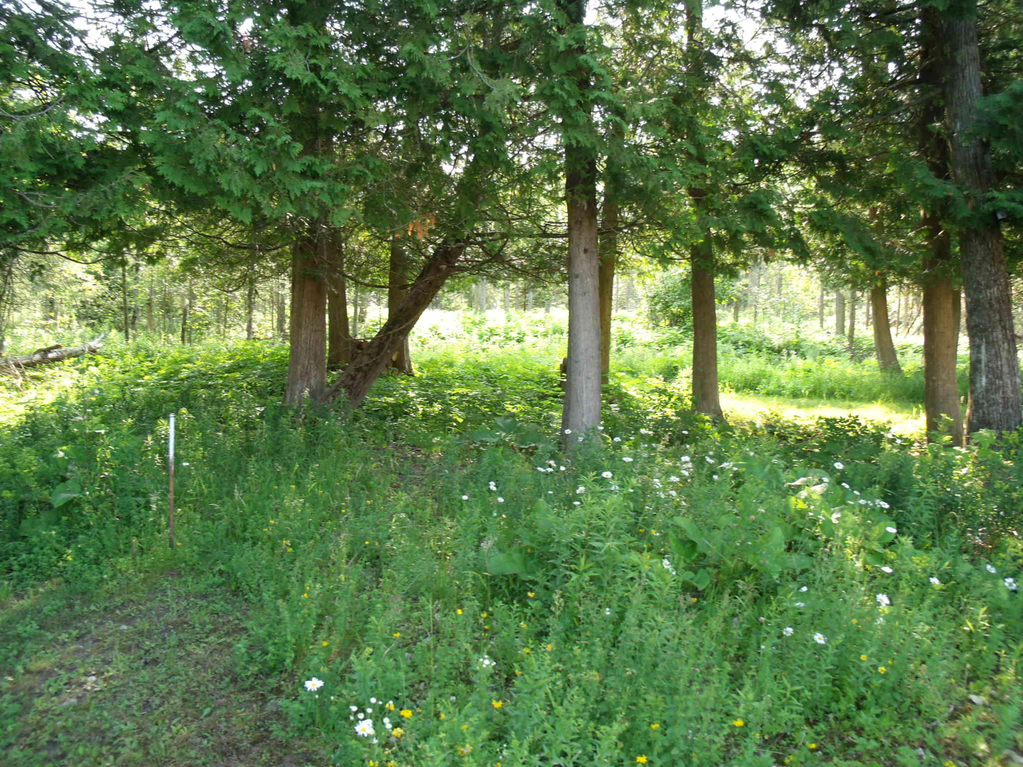 Hessel, Michigan 49745, United States, 2 Bedrooms Bedrooms, ,1 BathroomBathrooms,Residential,Active,169484