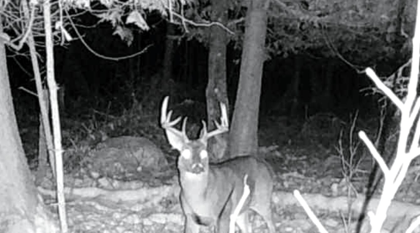 Hessel, Michigan 49745, United States, 2 Bedrooms Bedrooms, ,1 BathroomBathrooms,Residential,Active,169484