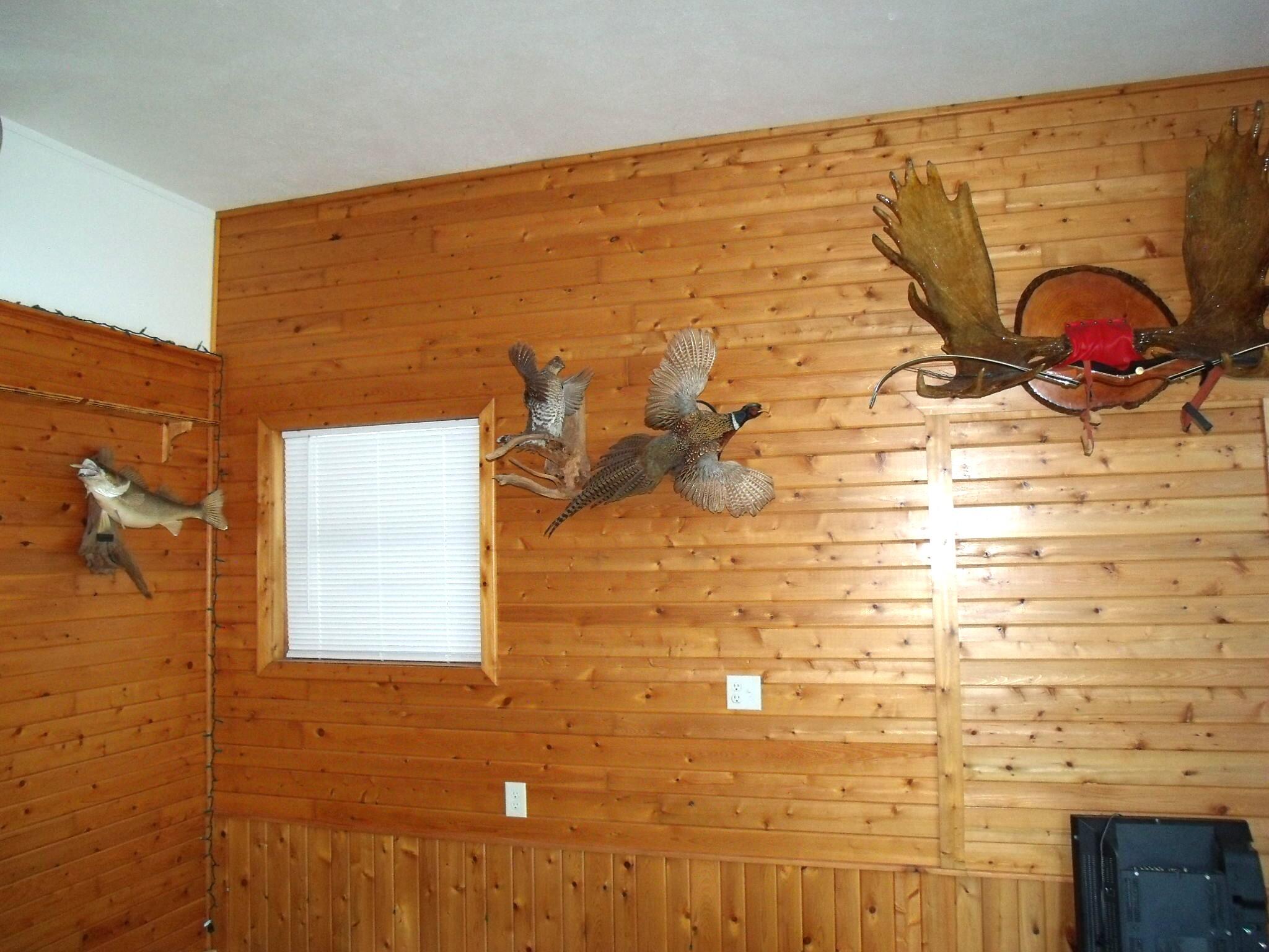 Hessel, Michigan 49745, United States, 2 Bedrooms Bedrooms, ,1 BathroomBathrooms,Residential,Active,169484