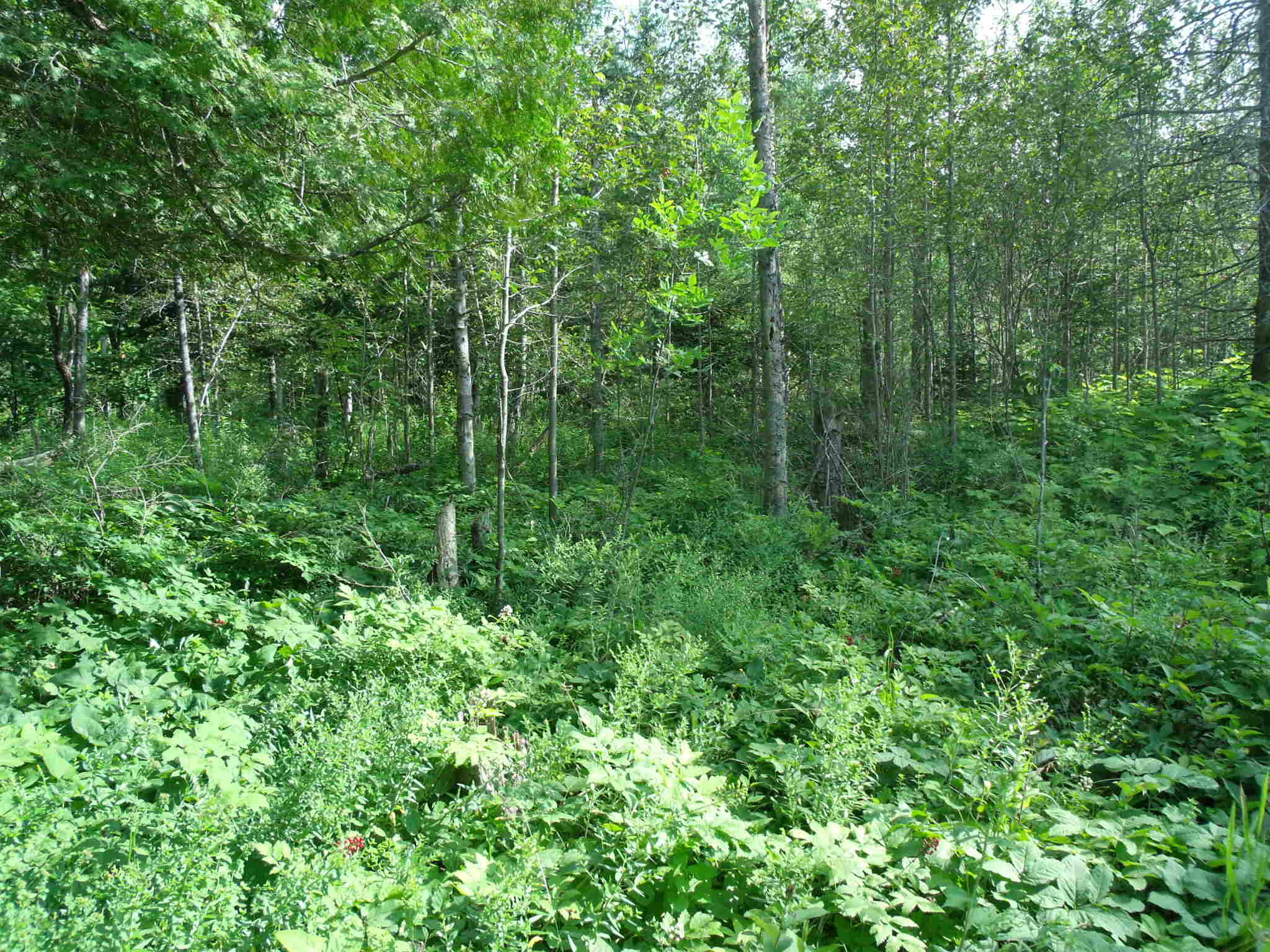 Hessel, Michigan 49745, United States, 2 Bedrooms Bedrooms, ,1 BathroomBathrooms,Residential,Active,169484