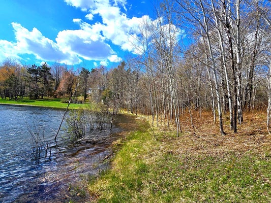 252 SUNRIDGE DR, ELMIRA, MI 49730 - Image 6f90b9d8421e8e2dcdc51f9dec211603/680707934