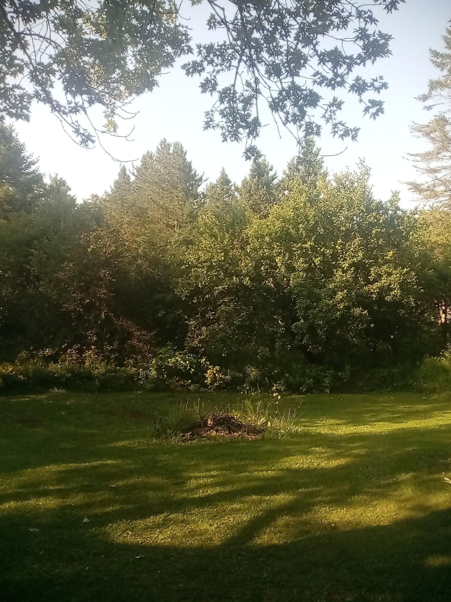 Hessel, Michigan 49745, United States, 3 Bedrooms Bedrooms, ,1 BathroomBathrooms,Residential,Active,112204