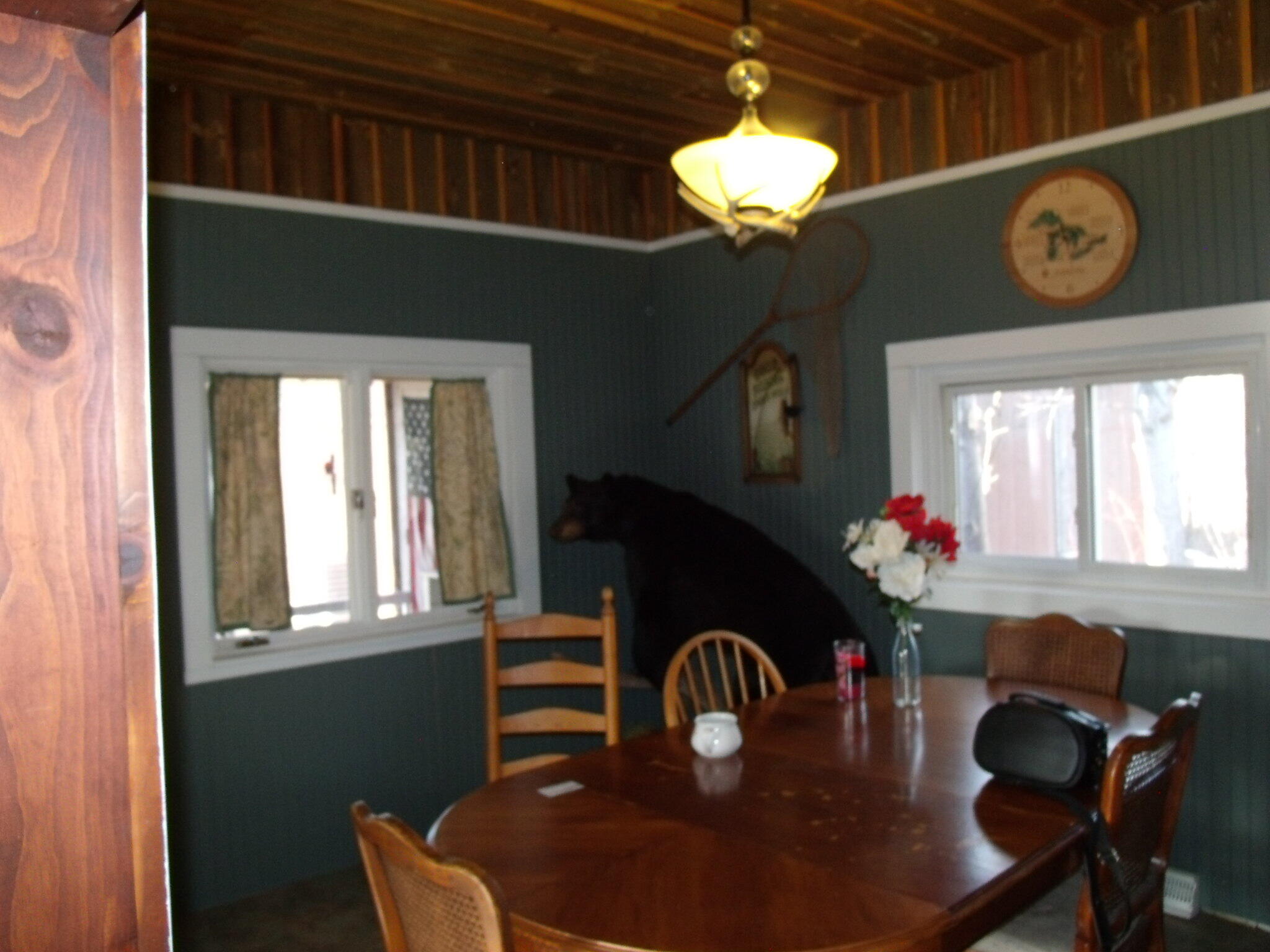 Hessel, Michigan 49745, United States, 3 Bedrooms Bedrooms, ,1 BathroomBathrooms,Residential,Active,112204