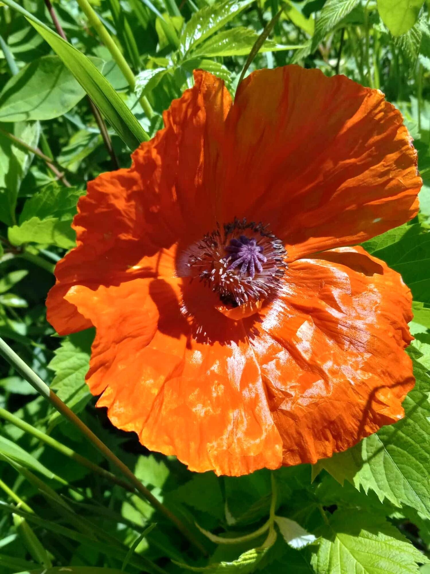 Hessel, Michigan 49745, United States, 3 Bedrooms Bedrooms, ,1 BathroomBathrooms,Residential,Active,112204