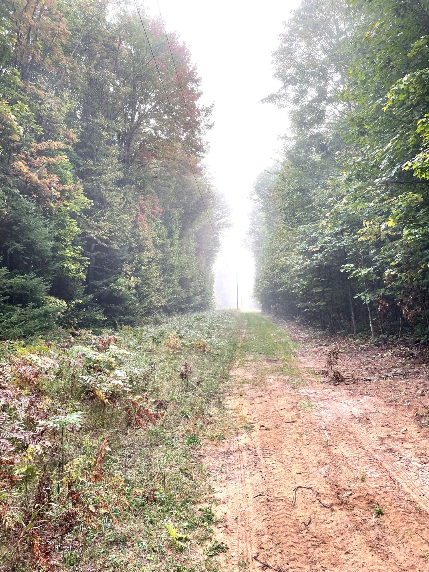 McMillan, Michigan 49853, United States, ,Land,Active,81963