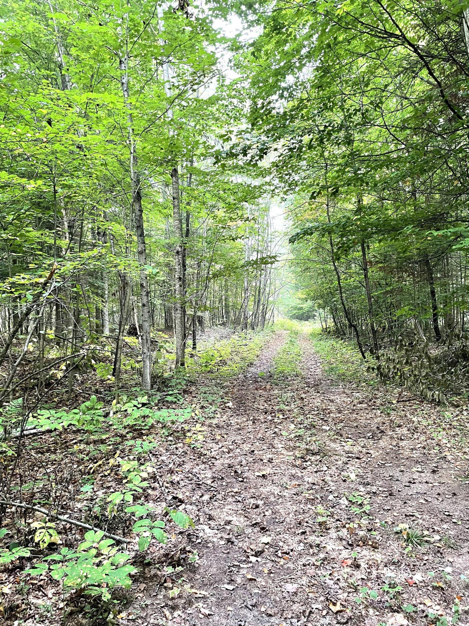 McMillan, Michigan 49853, United States, ,Land,Active,81963