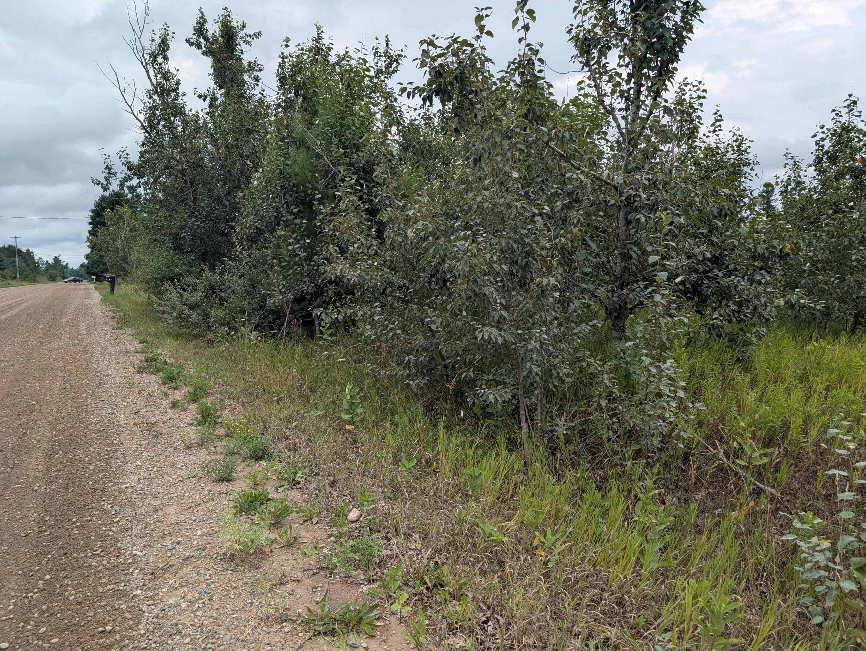 Cheboygan, Michigan 49721, United States, ,Land,Active,189914