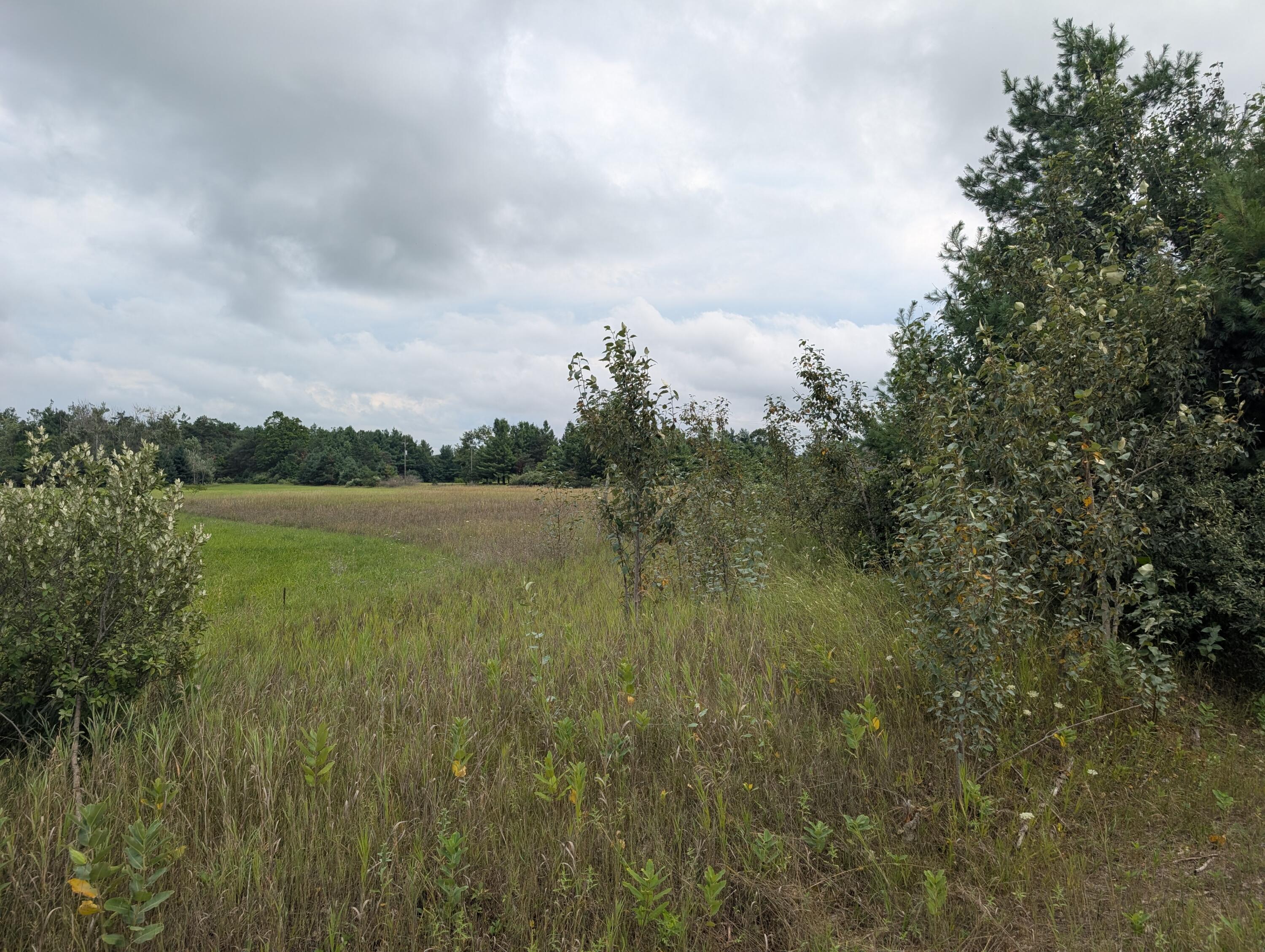 Cheboygan, Michigan 49721, United States, ,Land,Active,189914