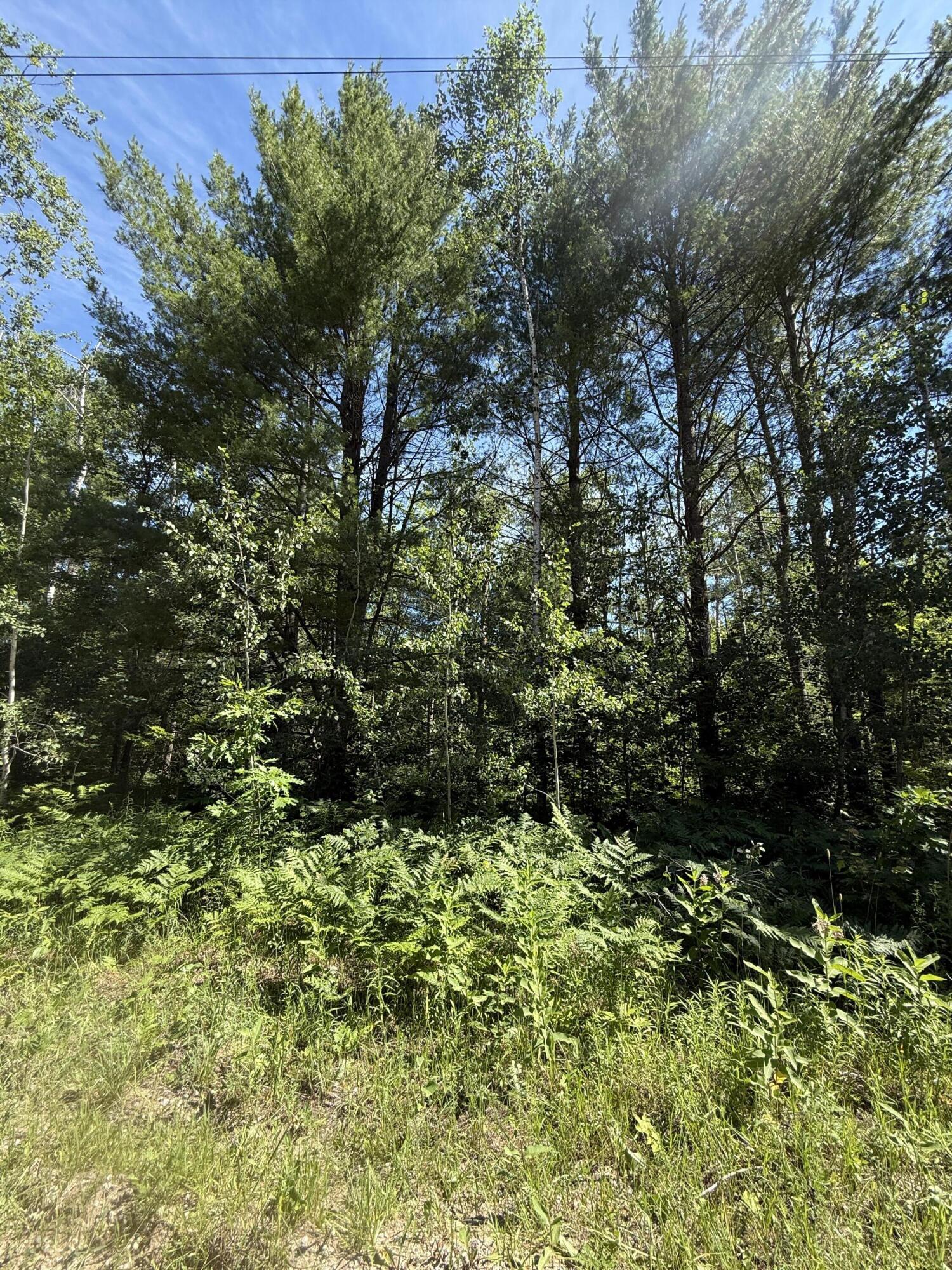 Photo 1 of 13 — v/l 83&84 Okemos Trail v/l 87&88, Gaylord, MI 49735