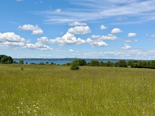 1321 PIONEER RD, CHEBOYGAN, MI 49721 - Image 8da896380657e2cd9d056d32e72cbfaa/921384425