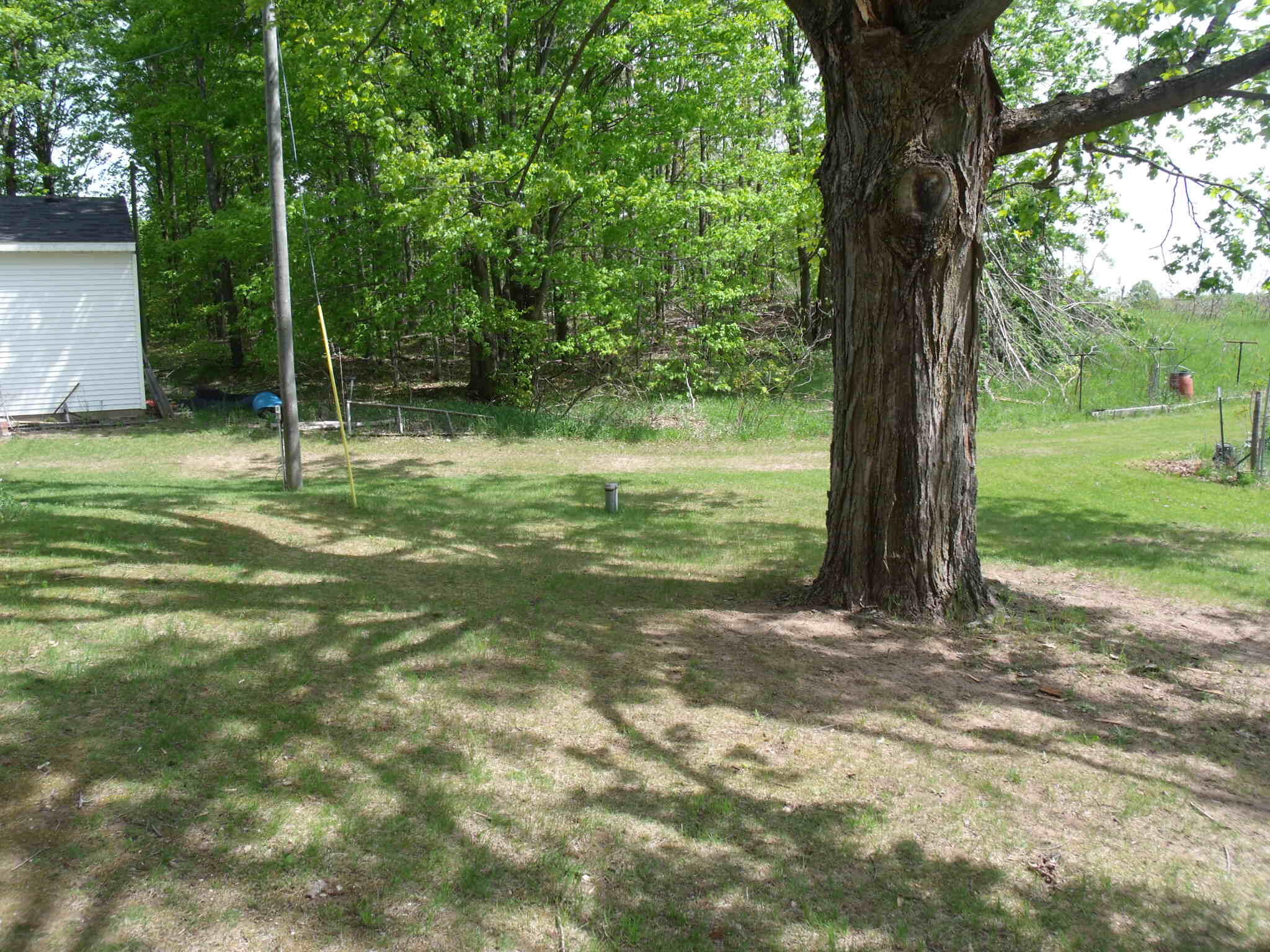 Wolverine, Michigan 49799, United States, 3 Bedrooms Bedrooms, ,3 BathroomsBathrooms,Residential,Active,153903