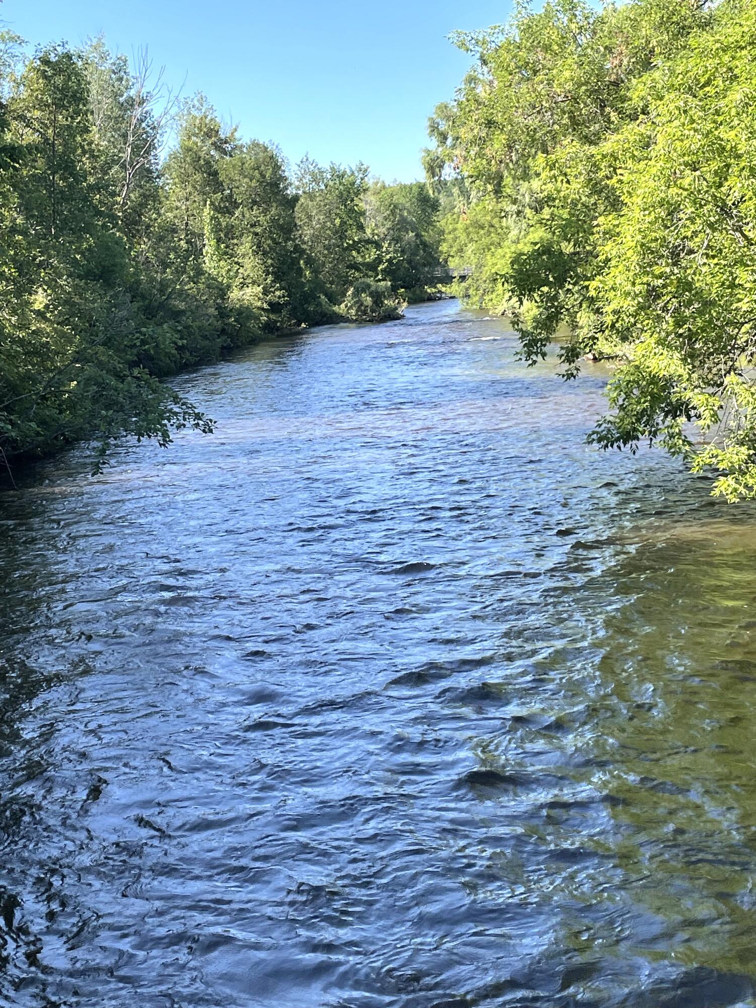 Wolverine, Michigan 49799, United States, 3 Bedrooms Bedrooms, ,3 BathroomsBathrooms,Residential,Active,153903