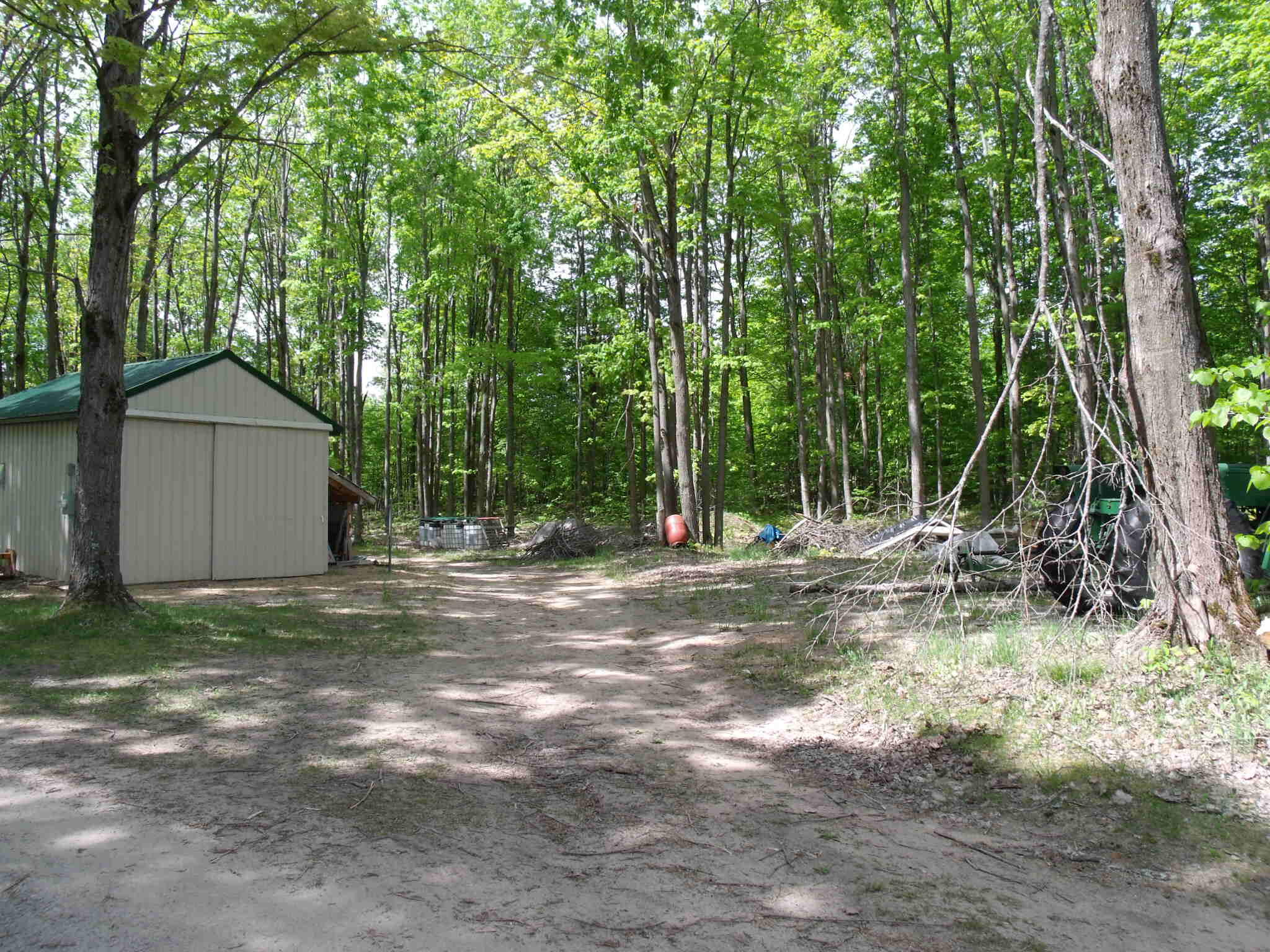 Wolverine, Michigan 49799, United States, 3 Bedrooms Bedrooms, ,3 BathroomsBathrooms,Residential,Active,153903