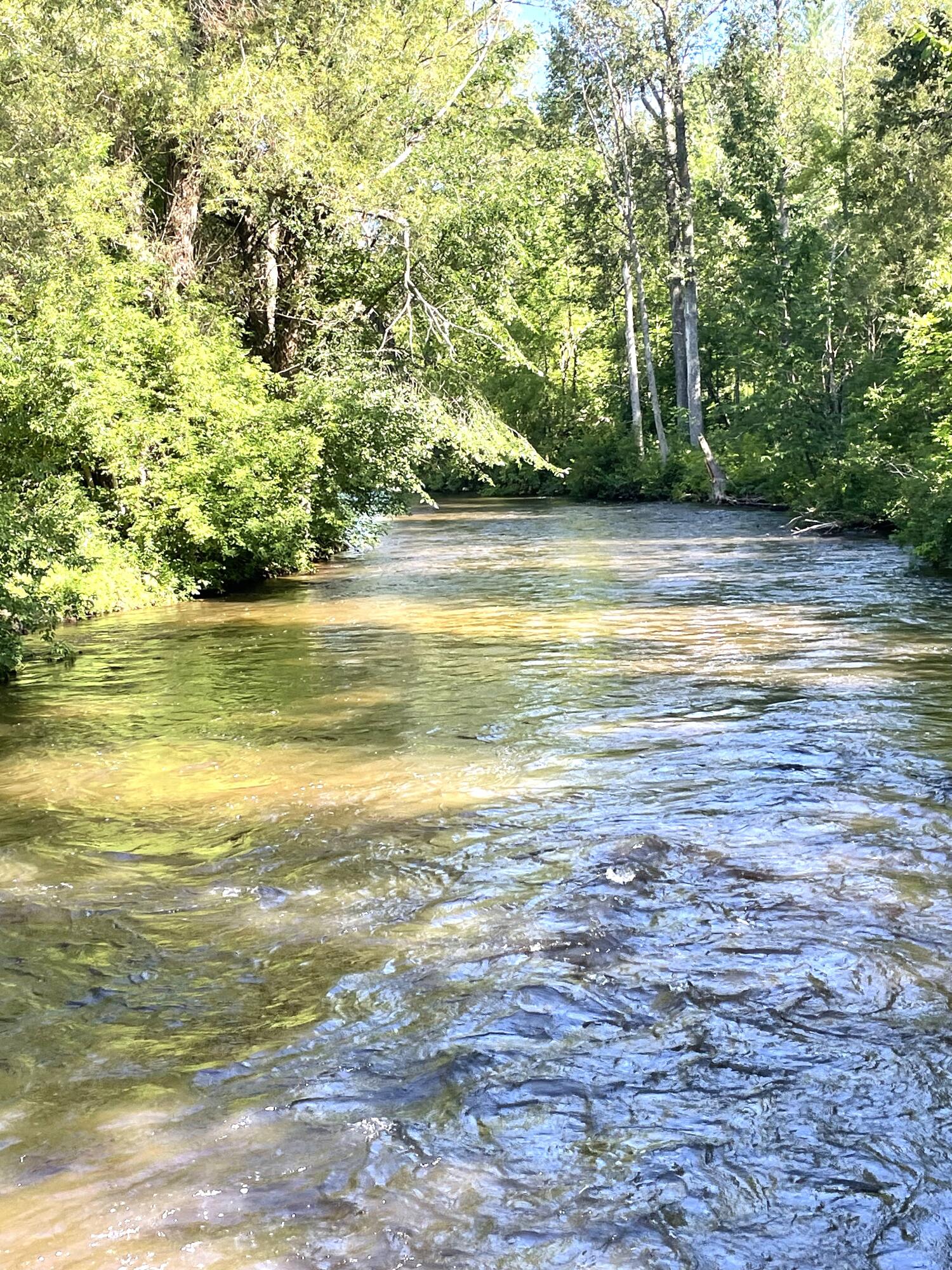 Wolverine, Michigan 49799, United States, 3 Bedrooms Bedrooms, ,3 BathroomsBathrooms,Residential,Active,153903