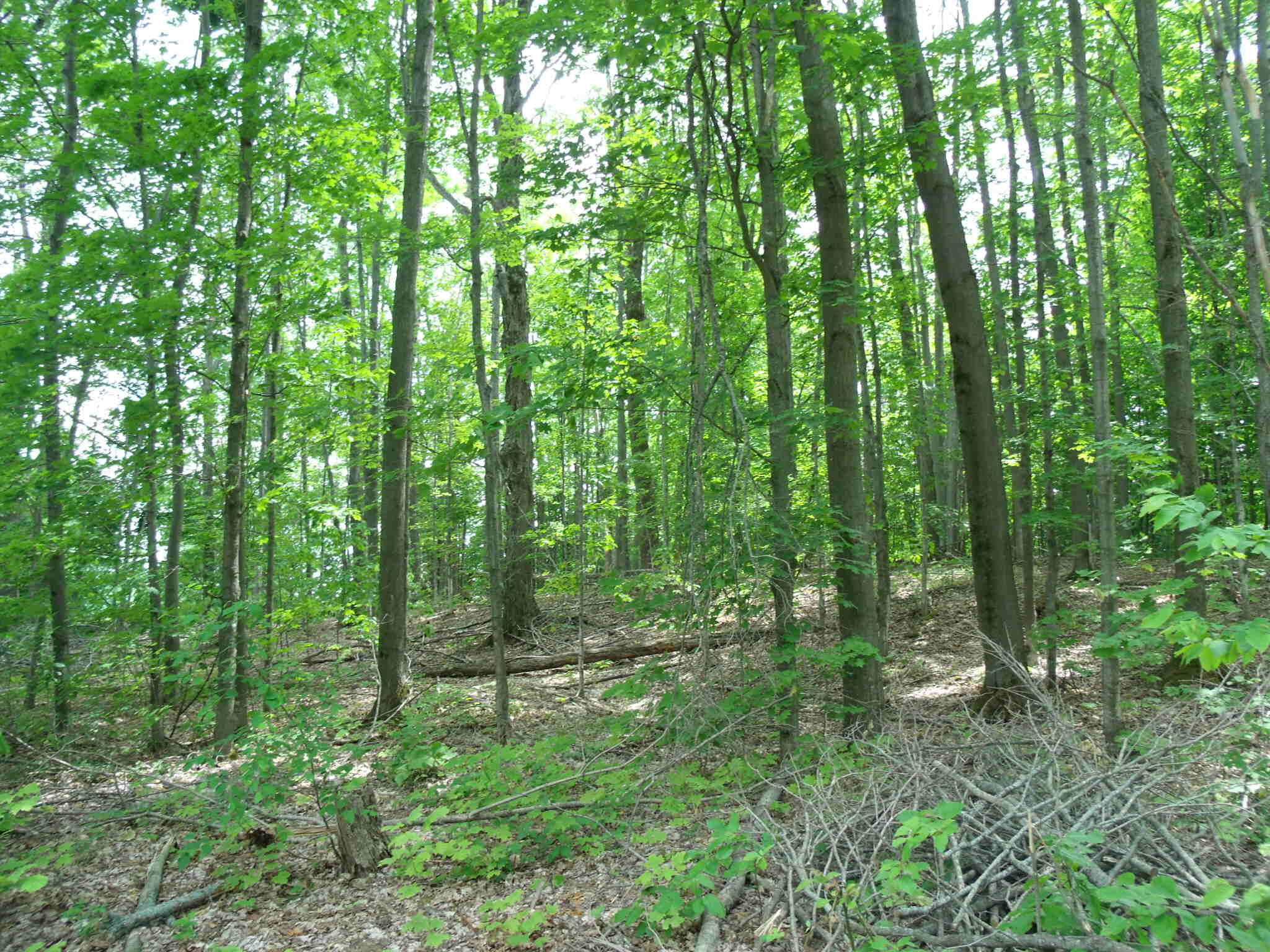 Wolverine, Michigan 49799, United States, 3 Bedrooms Bedrooms, ,3 BathroomsBathrooms,Residential,Active,153903