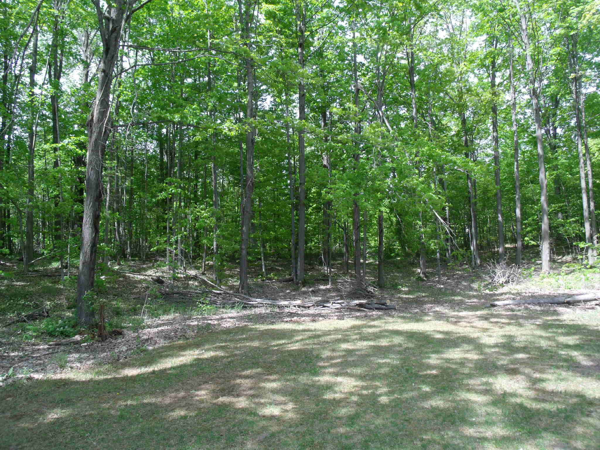 Wolverine, Michigan 49799, United States, 3 Bedrooms Bedrooms, ,3 BathroomsBathrooms,Residential,Active,153903