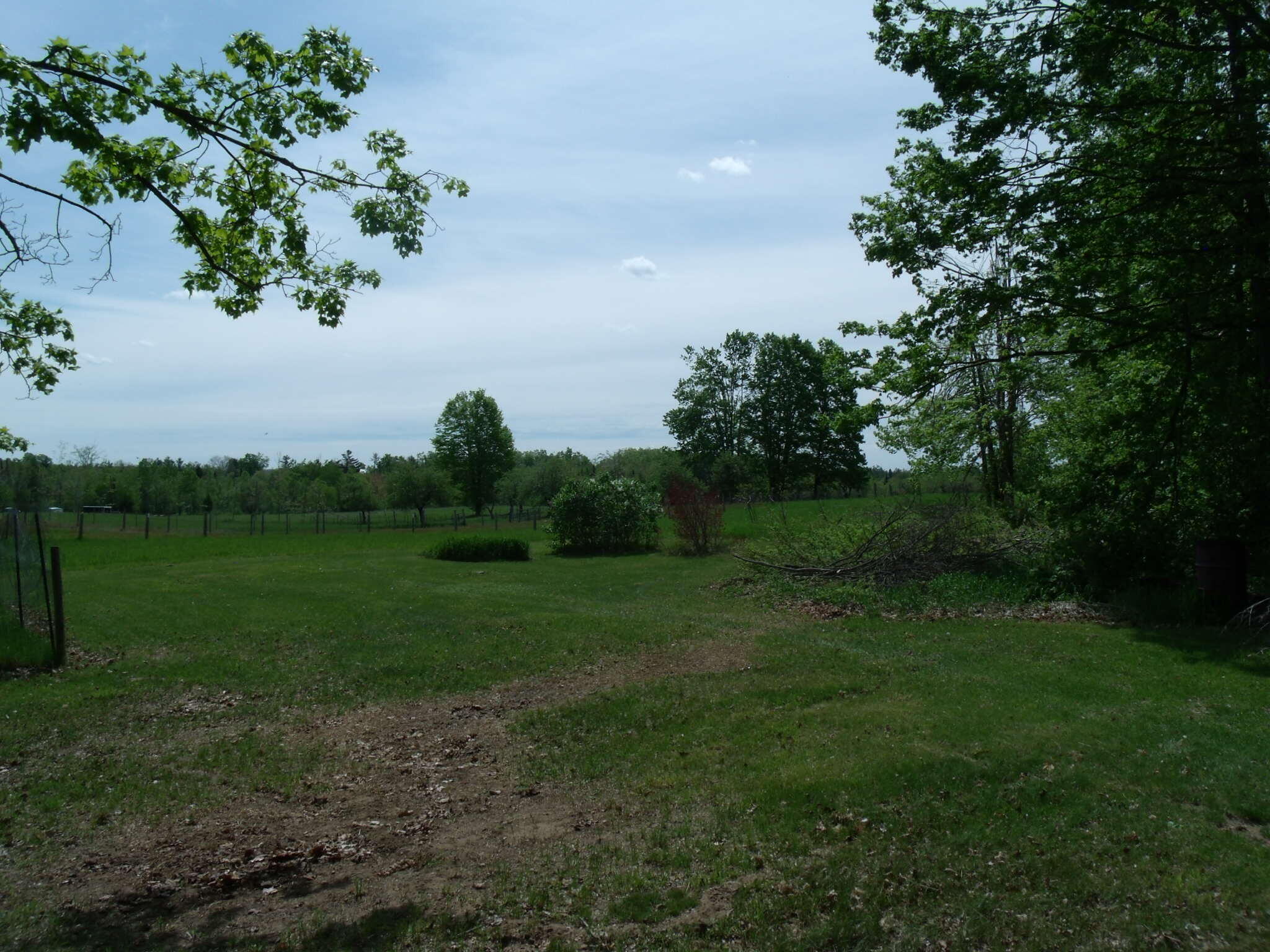 Wolverine, Michigan 49799, United States, 3 Bedrooms Bedrooms, ,3 BathroomsBathrooms,Residential,Active,153903