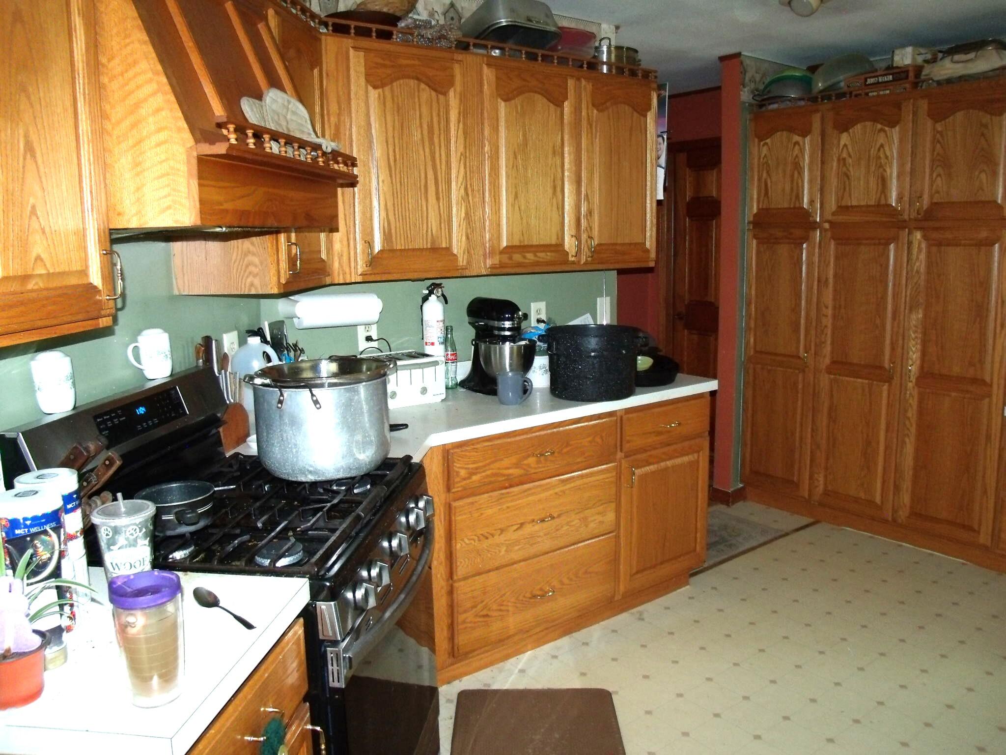 Wolverine, Michigan 49799, United States, 3 Bedrooms Bedrooms, ,3 BathroomsBathrooms,Residential,Active,153903