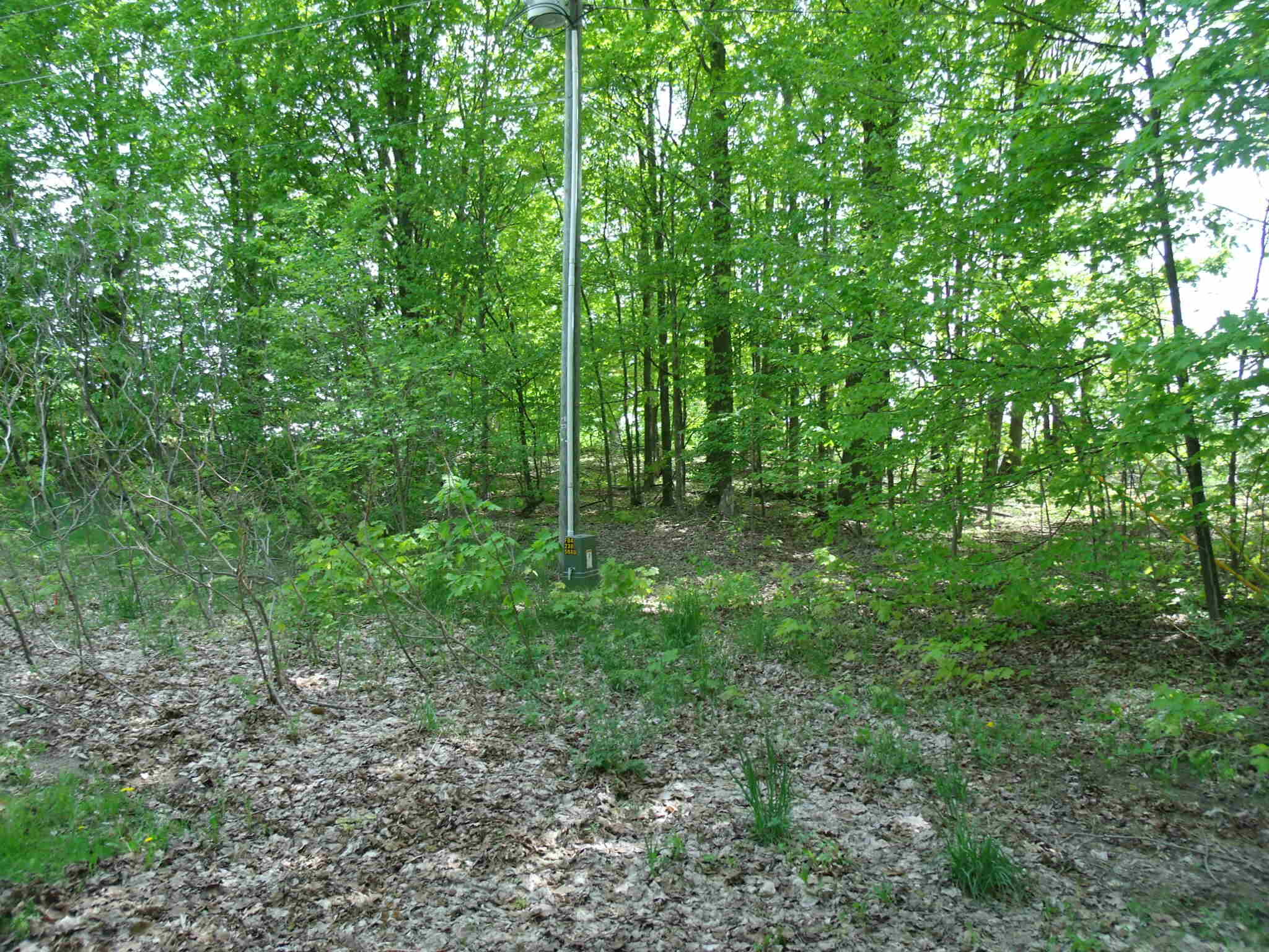 Wolverine, Michigan 49799, United States, 3 Bedrooms Bedrooms, ,3 BathroomsBathrooms,Residential,Active,153903