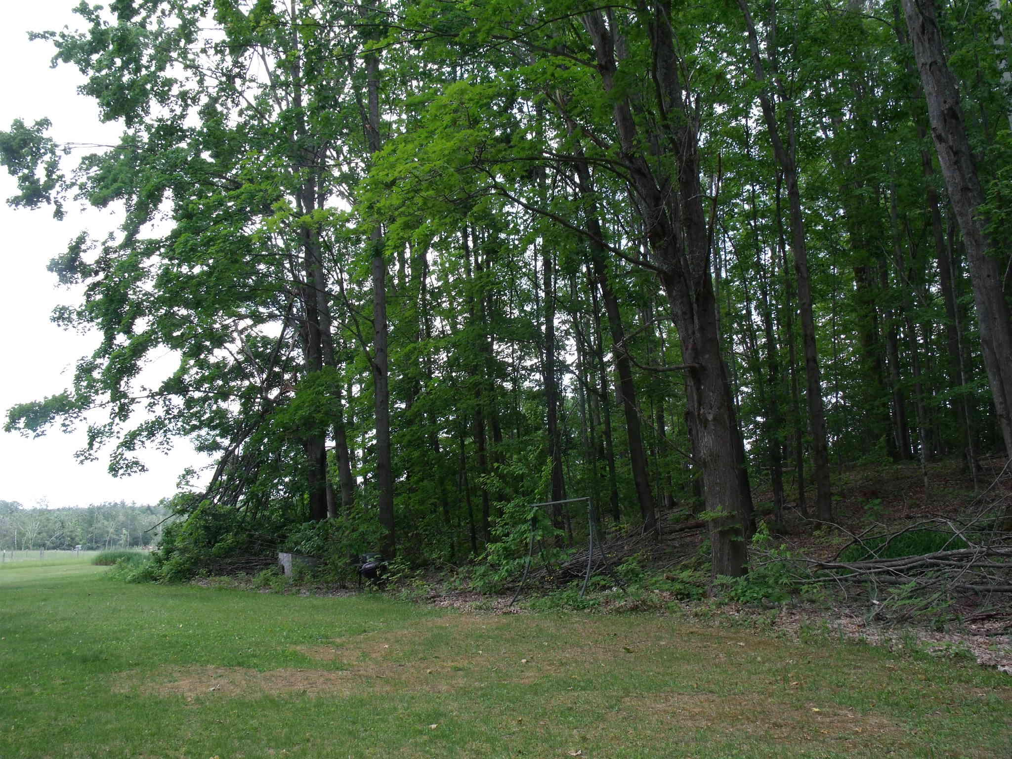 Wolverine, Michigan 49799, United States, 3 Bedrooms Bedrooms, ,3 BathroomsBathrooms,Residential,Active,153903