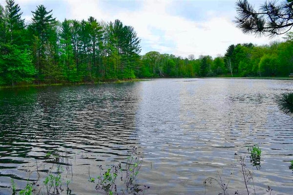 4571 HIAWATHA TRL, GAYLORD, MI 49735 - Image 9472742cdfed2da2342e43d89ff7cf25/3576334078