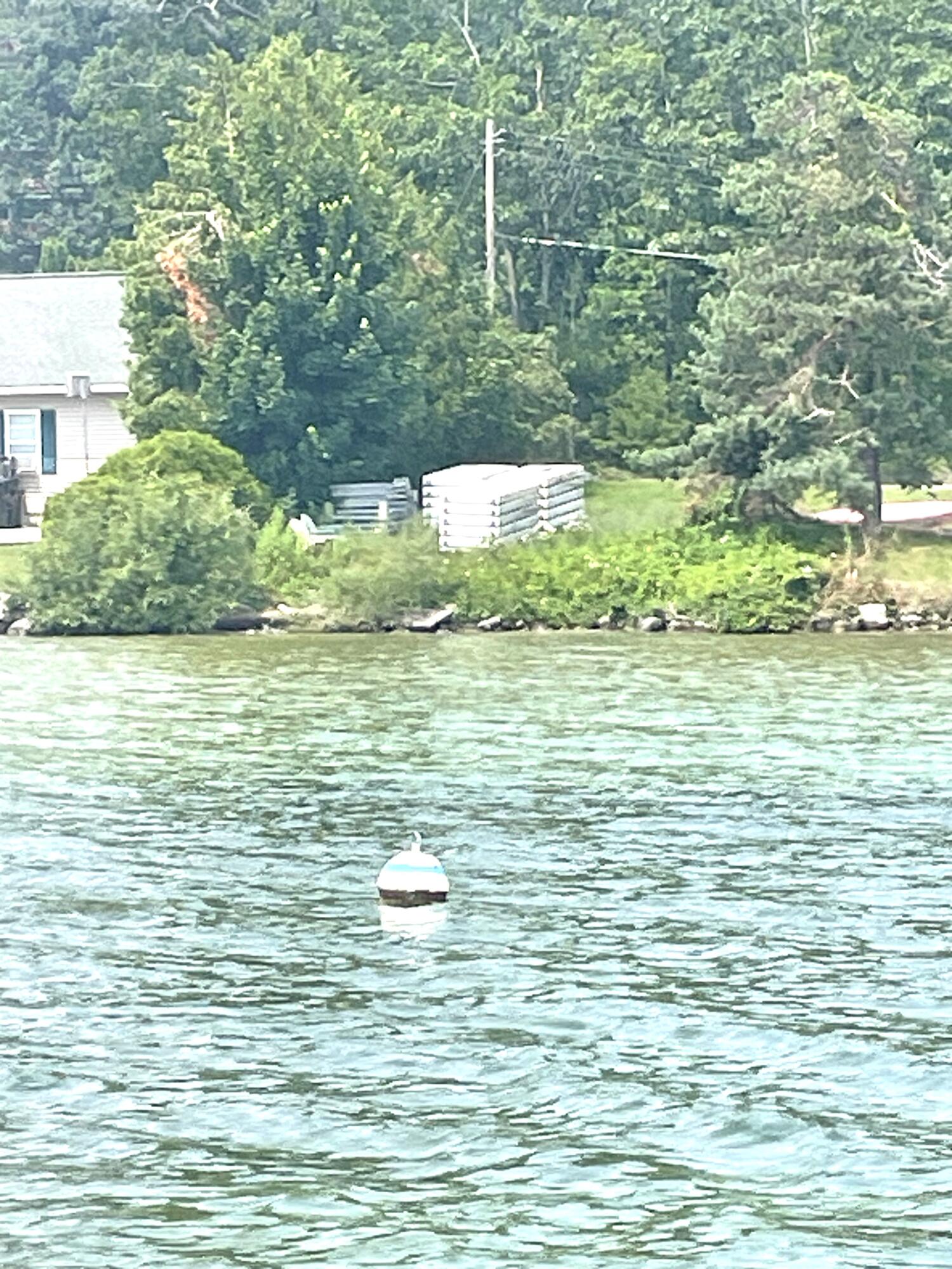 Topinabee, Michigan 49791, United States, ,Land,Active,160420