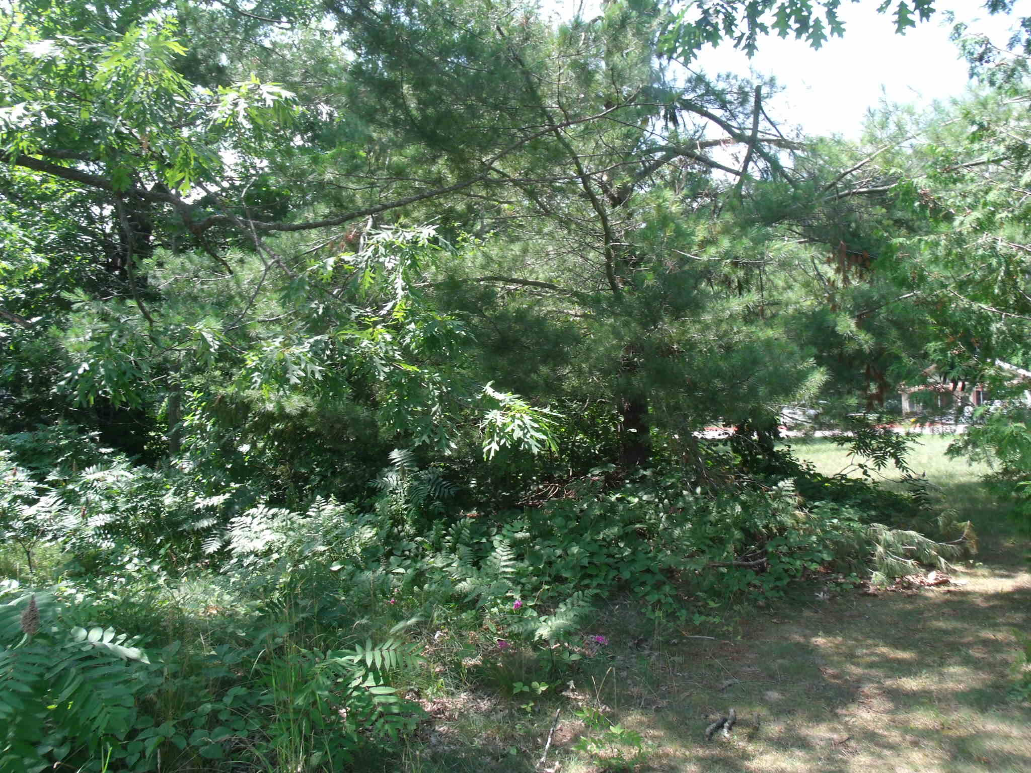 Topinabee, Michigan 49791, United States, ,Land,Active,160420