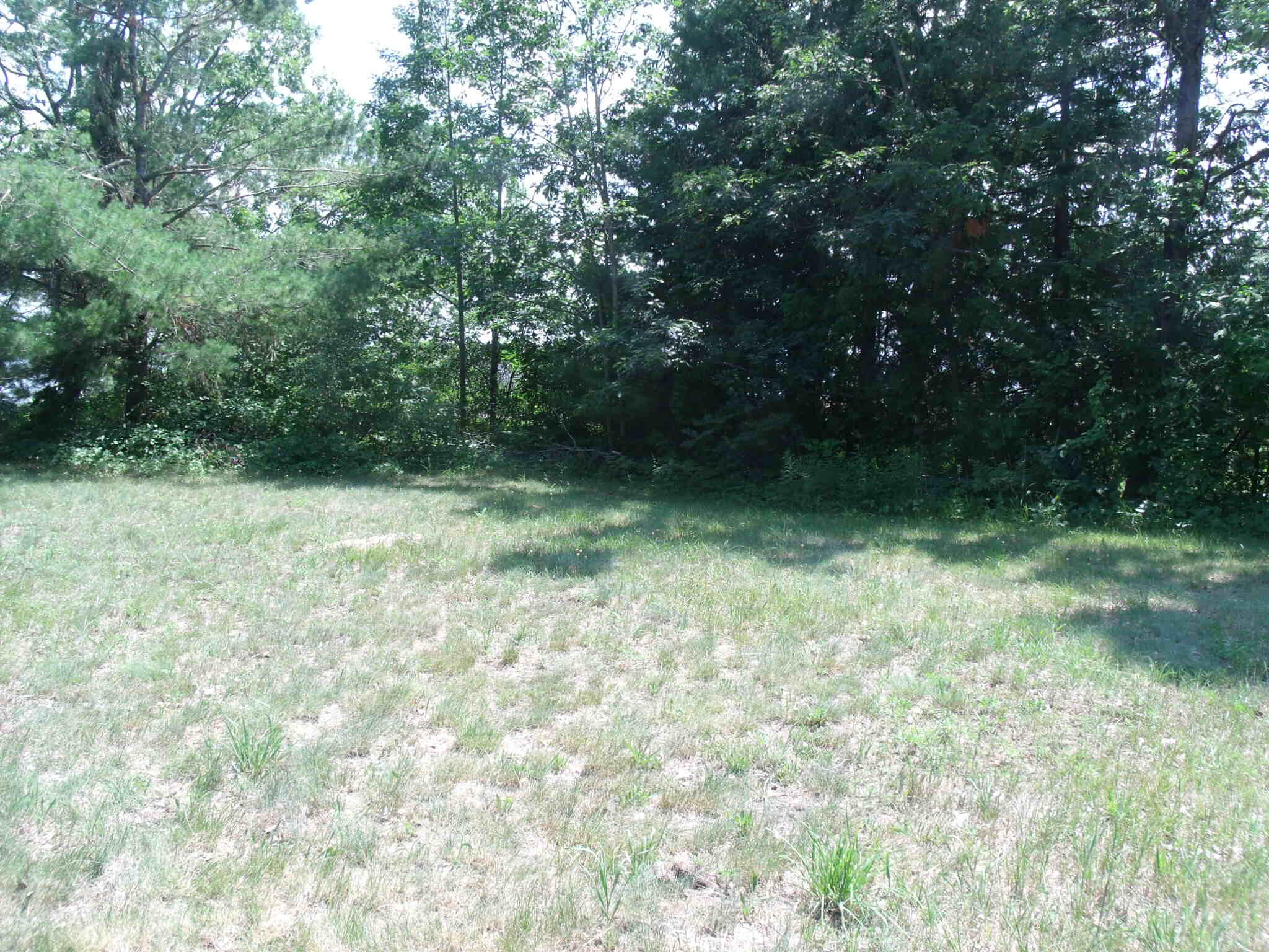 Topinabee, Michigan 49791, United States, ,Land,Active,160420