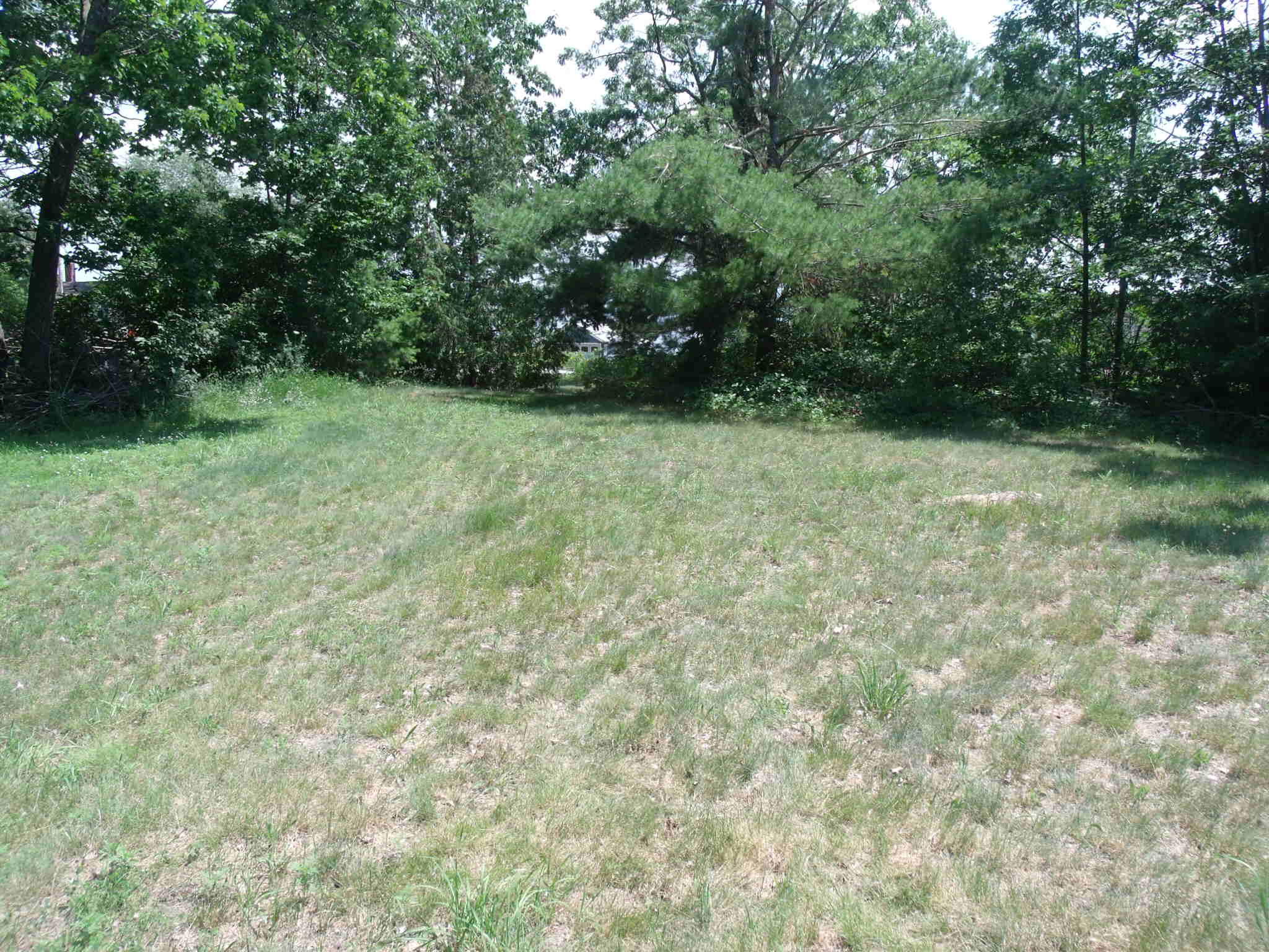 Topinabee, Michigan 49791, United States, ,Land,Active,160420