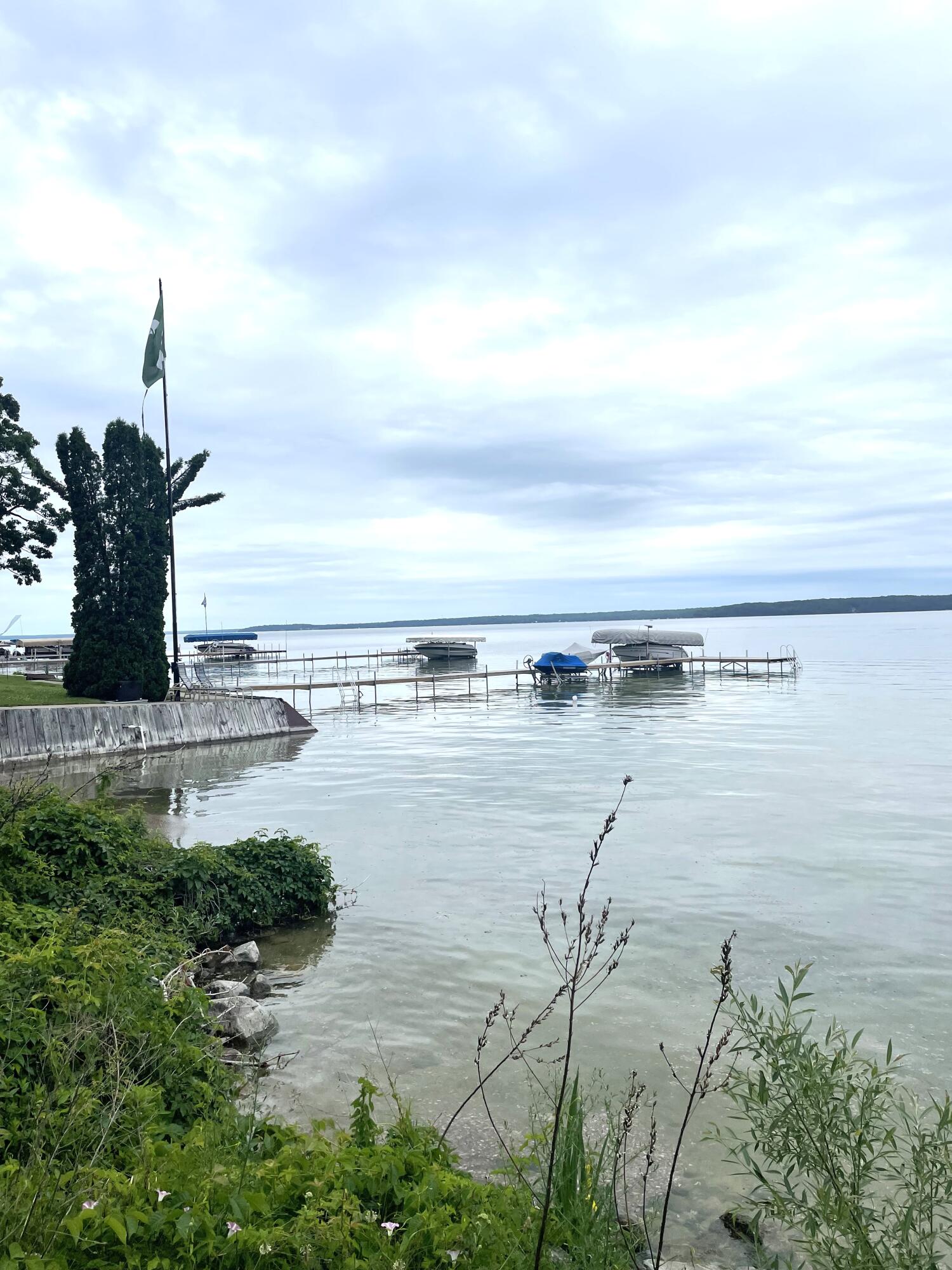 Topinabee, Michigan 49791, United States, ,Land,Active,160420