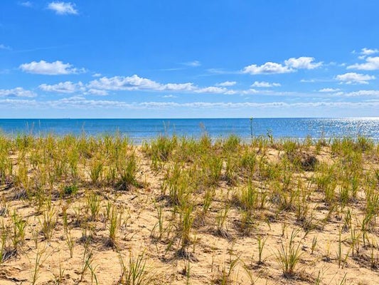 ADDRESS PRIVATE, ALPENA TOWNSHIP, MI  - Image a23d5f1e05fe58ea2c90d7c3a200c044/752675768