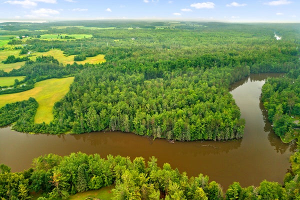 CONNON RD, HILLMAN, MI 49746 - Image ac3e6f2af9ae7d1631f7b68fbfe647eb/2945930533
