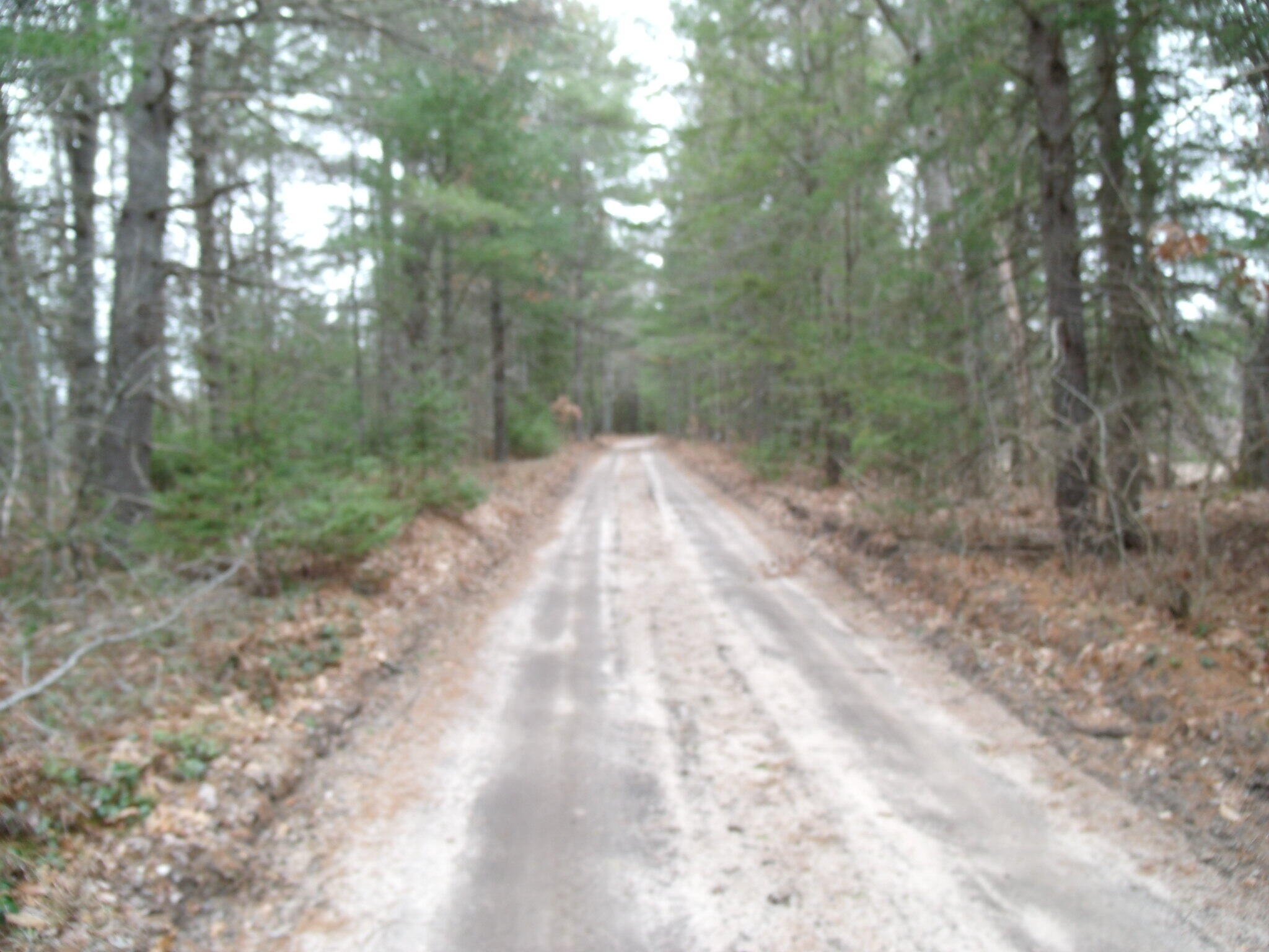 Indian River, Michigan 49749, United States, ,Land,Active,177428