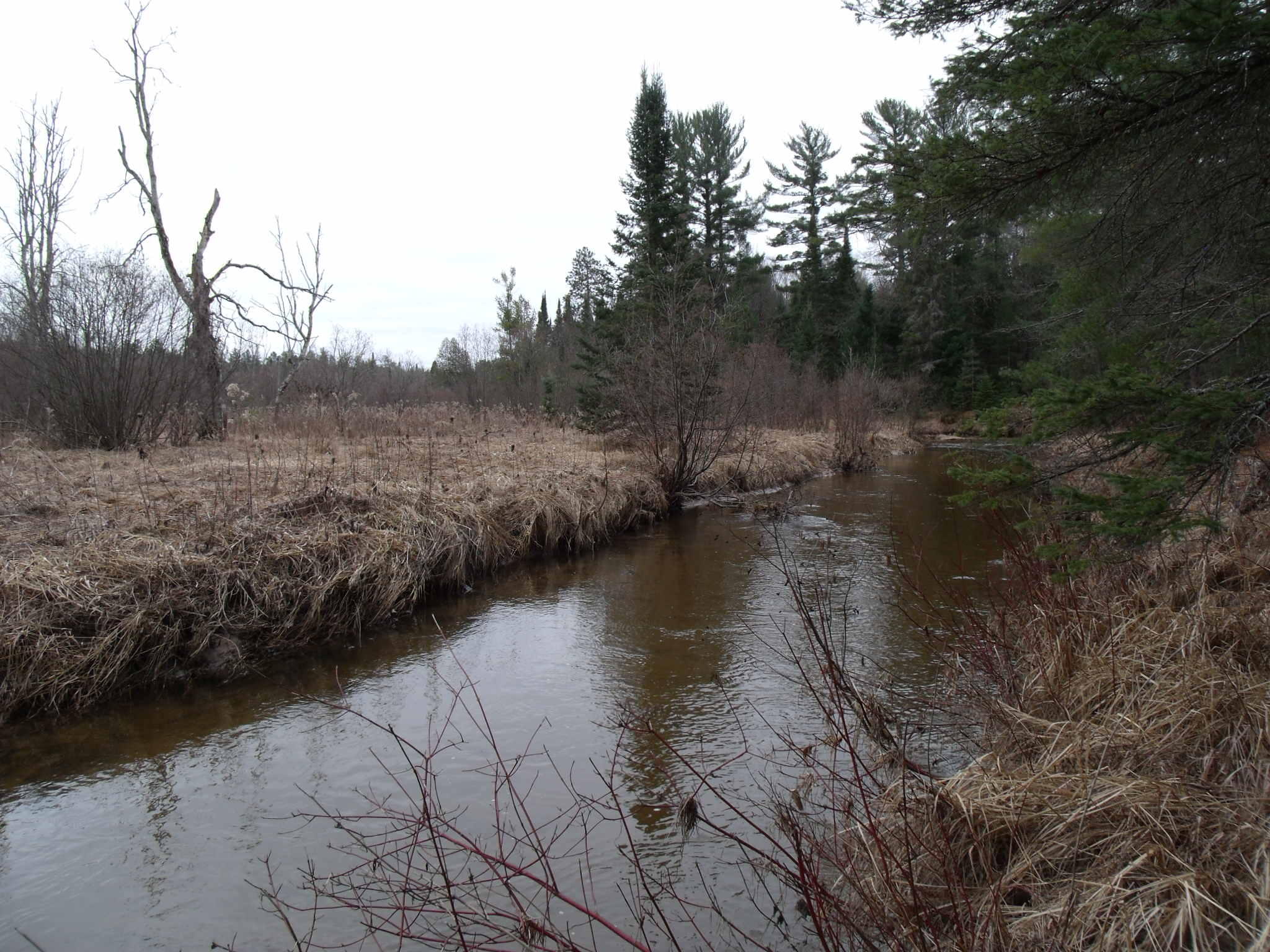 Indian River, Michigan 49749, United States, ,Land,Active,177428