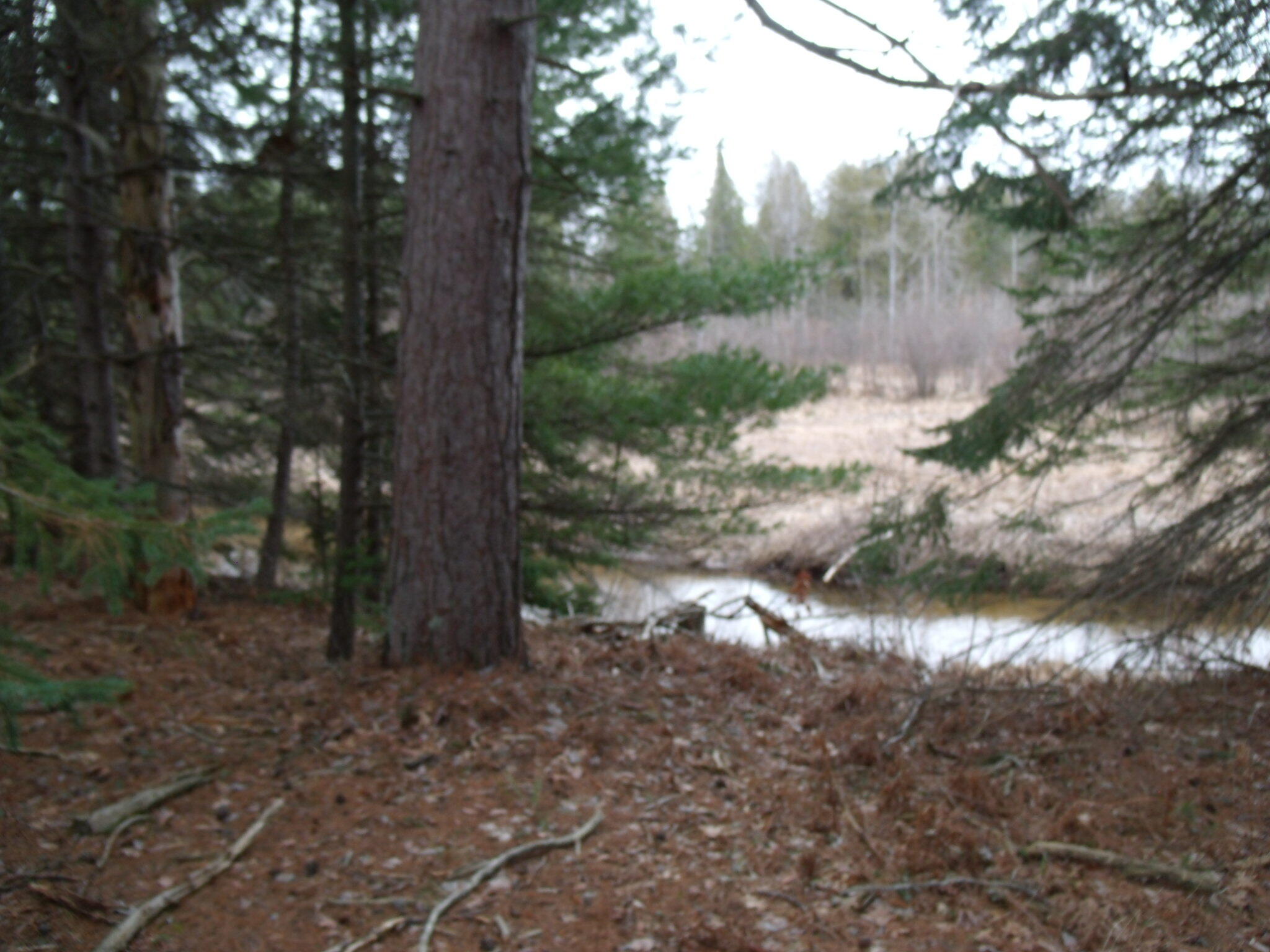 Indian River, Michigan 49749, United States, ,Land,Active,177428