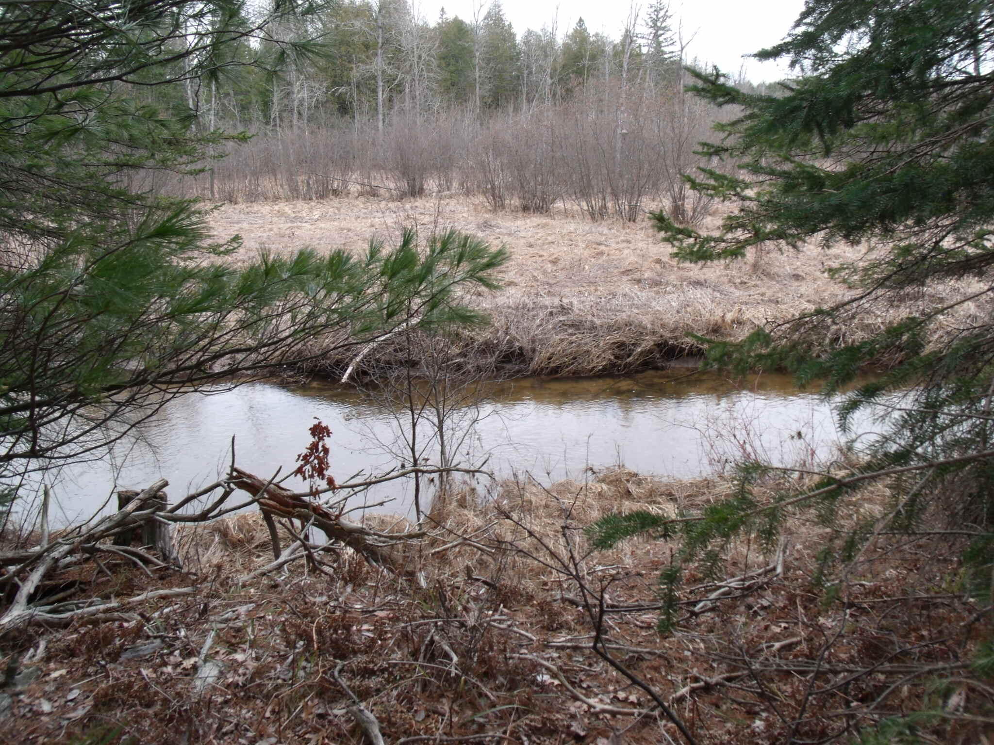 Indian River, Michigan 49749, United States, ,Land,Active,177428