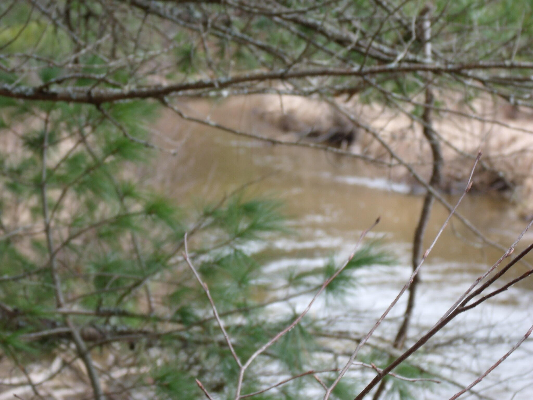 Indian River, Michigan 49749, United States, ,Land,Active,177428