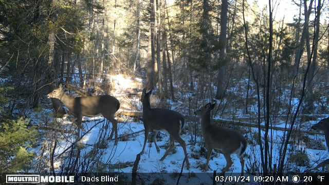 Indian River, Michigan 49749, United States, ,Land,Active,177428