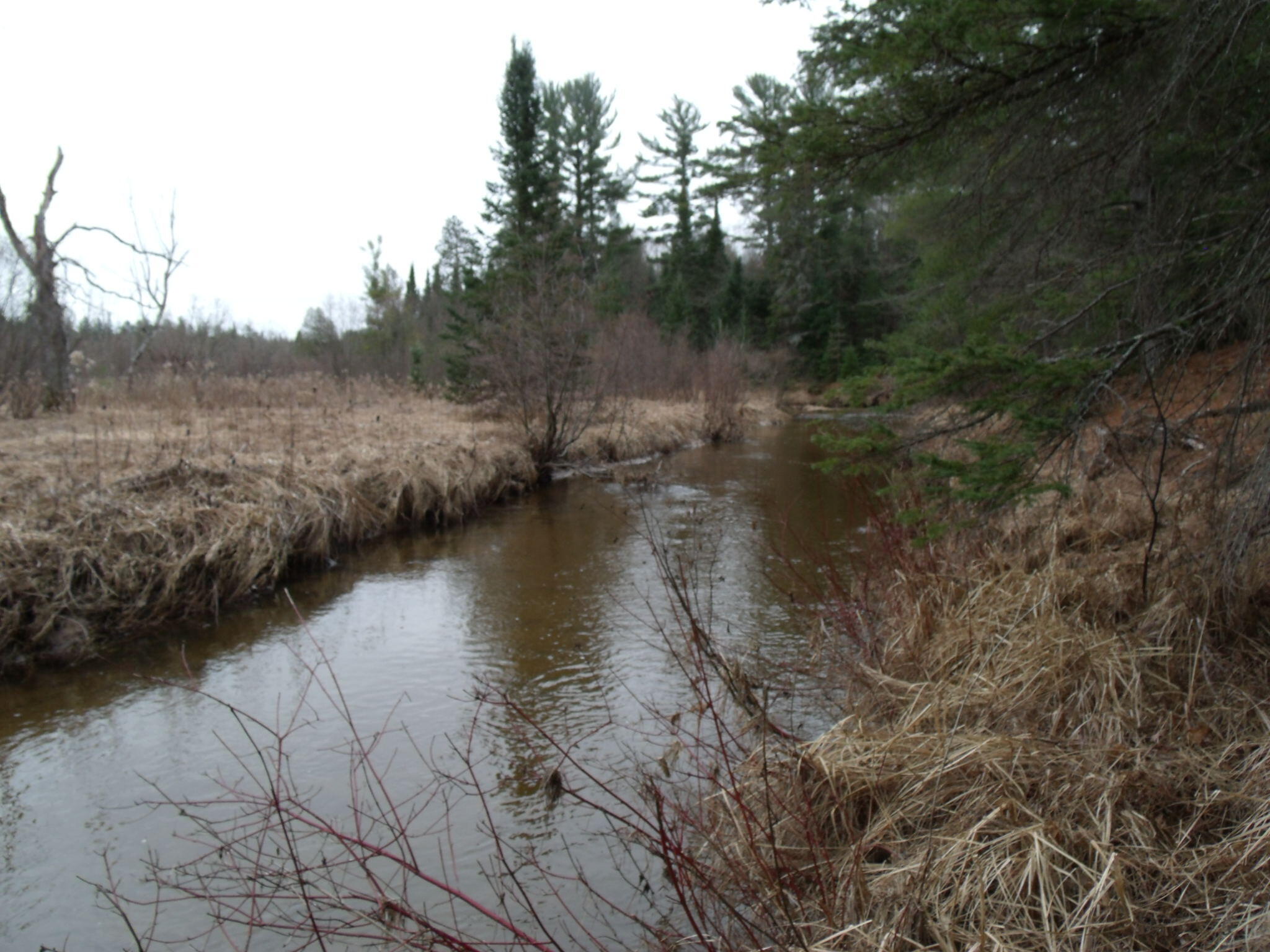 Indian River, Michigan 49749, United States, ,Land,Active,177428