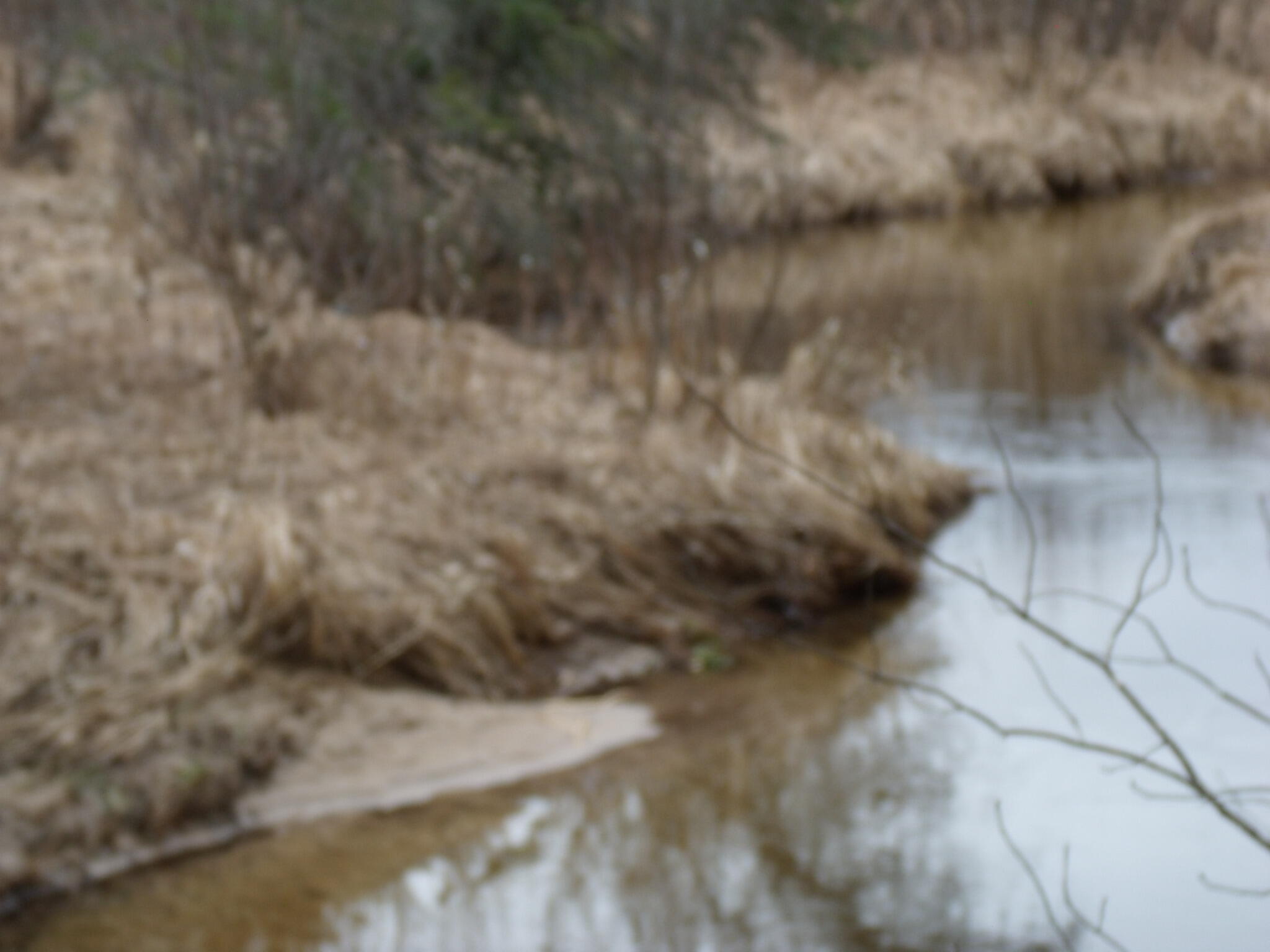 Indian River, Michigan 49749, United States, ,Land,Active,177428