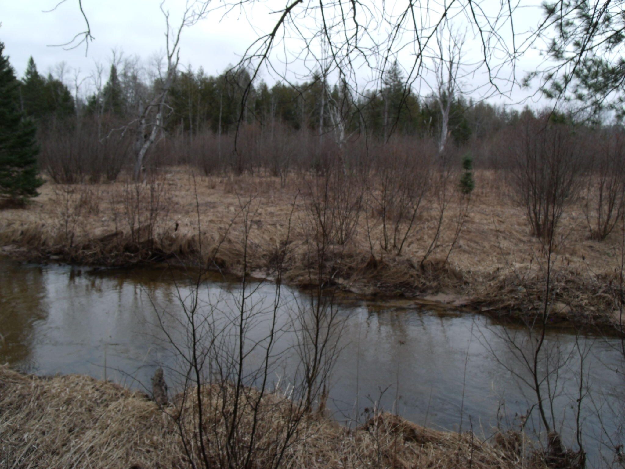 Indian River, Michigan 49749, United States, ,Land,Active,177428