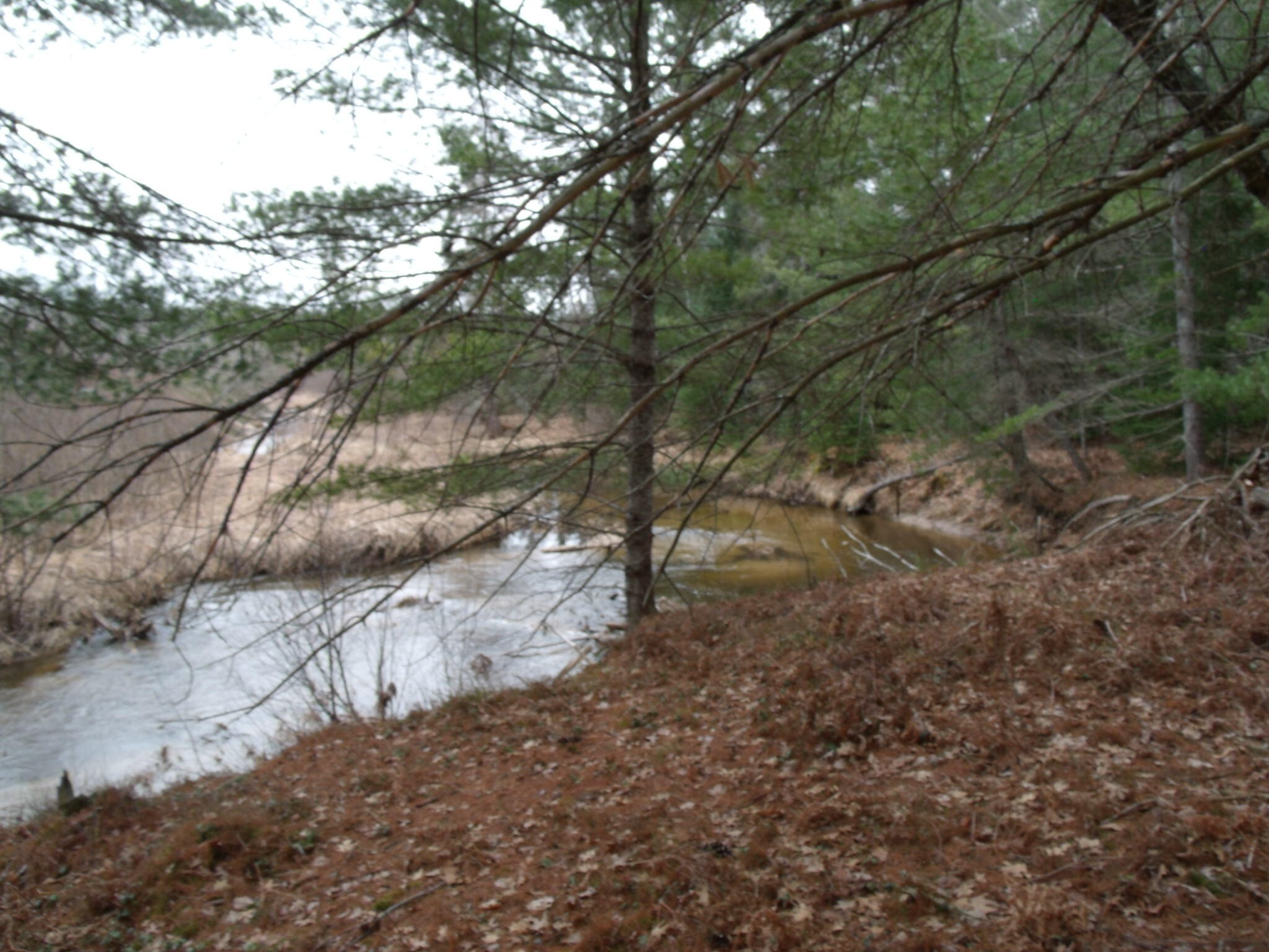 Indian River, Michigan 49749, United States, ,Land,Active,177428