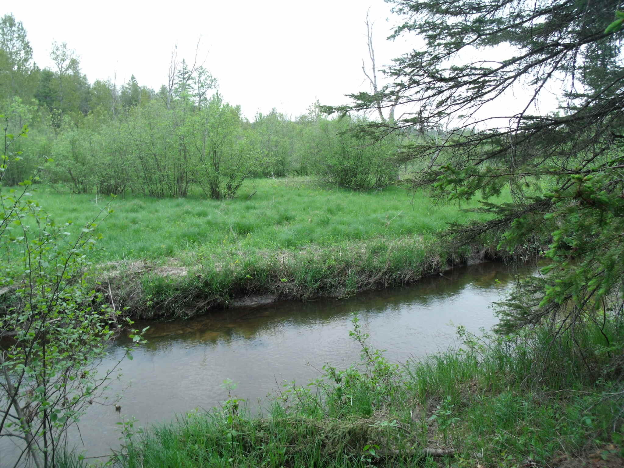 Indian River, Michigan 49749, United States, ,Land,Active,177428